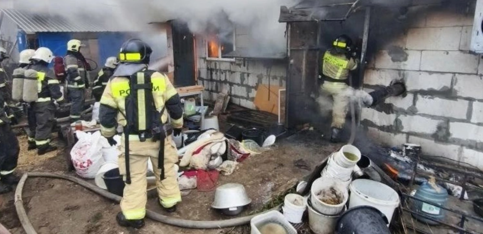 Ρωσία: Πάνω από 200 σκύλοι έχασαν τη ζωή τους σε πυρκαγιά σε εκτροφείο