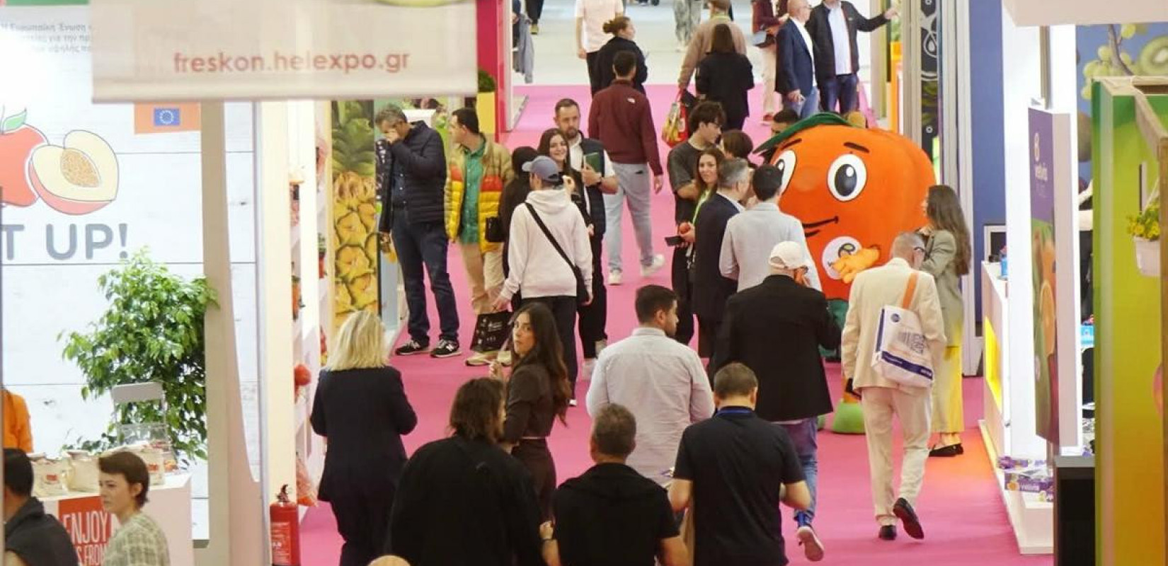 10η Freskon: Συνεχίζεται μέχρι και αύριο στο Διεθνές Εκθεσιακό Κέντρο Θεσσαλονίκης