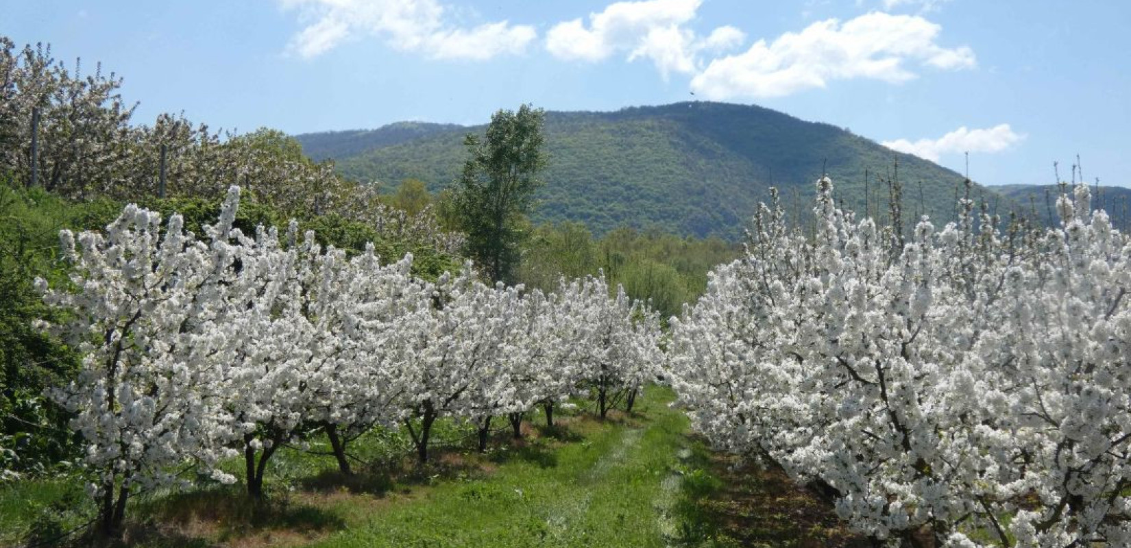 Πηγή φωτογραφίας: Περιφέρεια Κεντρικής Μακεδονίας