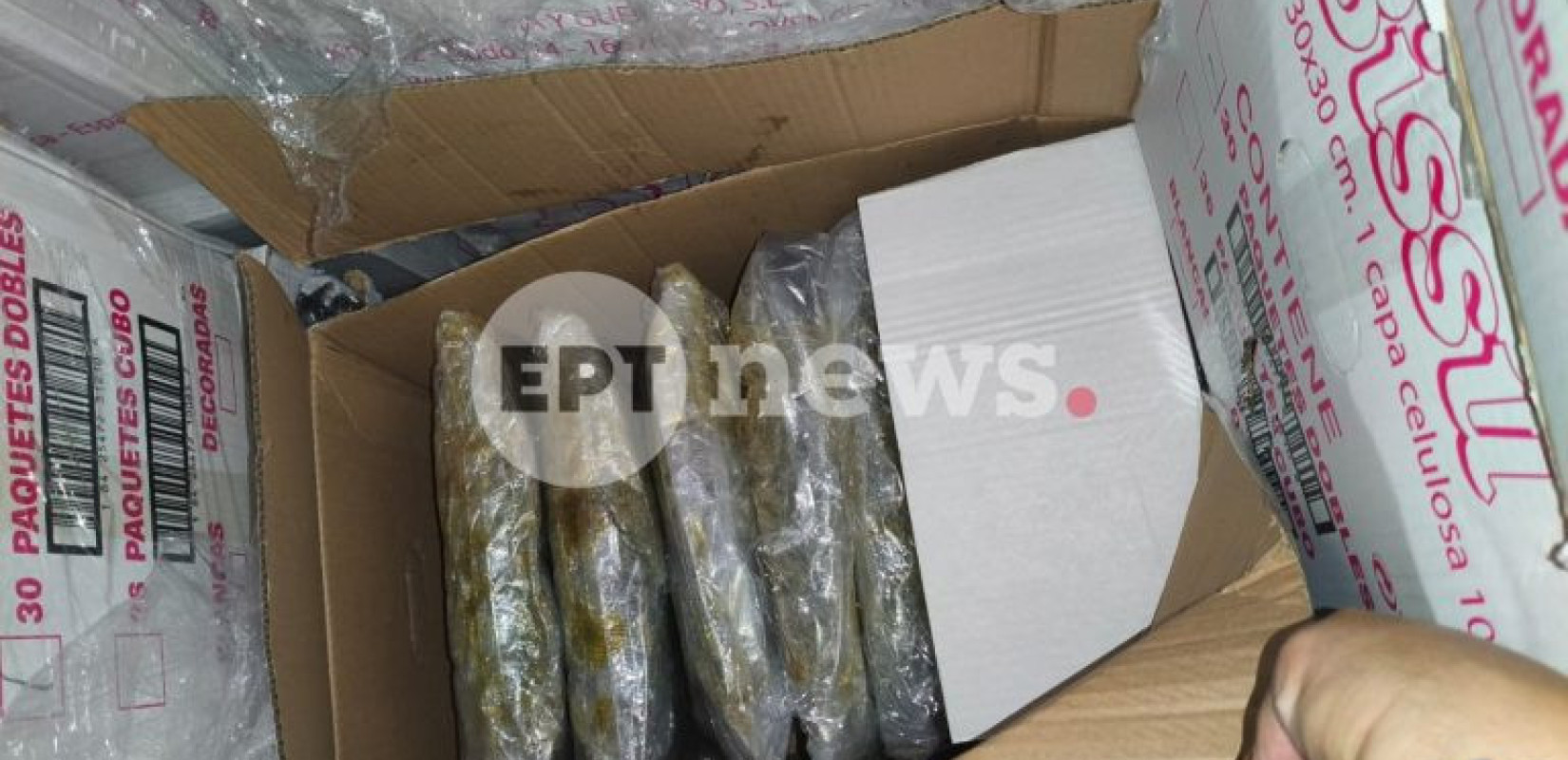 Ηγουμενίτσα: «Δεν είχα γνώση για ναρκωτικά» είπε ο 50χρονος οδηγός νταλίκας για τον μισό τόνο κάνναβης