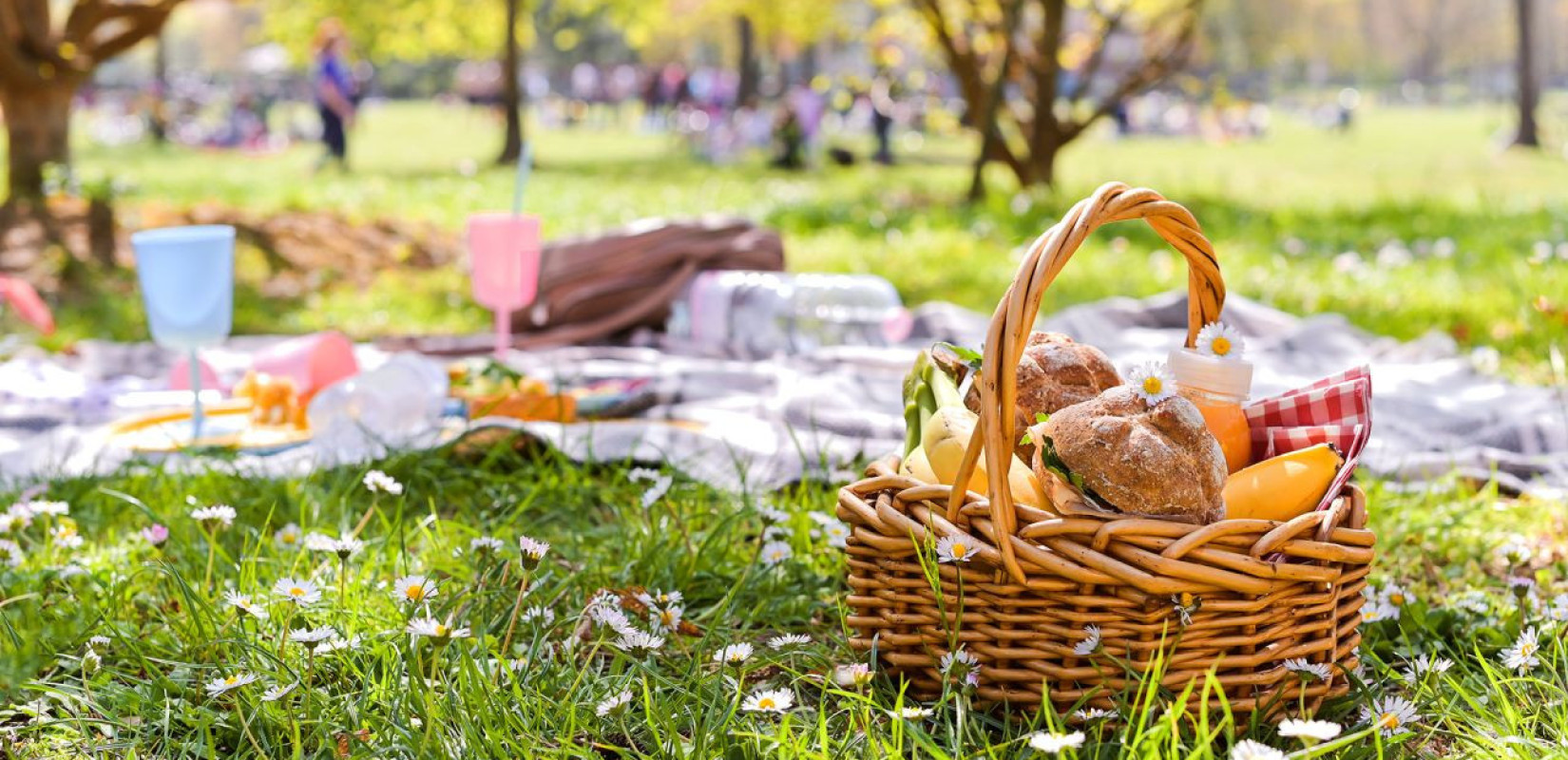 Γιορτή της Μητέρας στο Άλσος Συκεών: Ένα εορταστικό πικ-νικ για τις νέες μανούλες