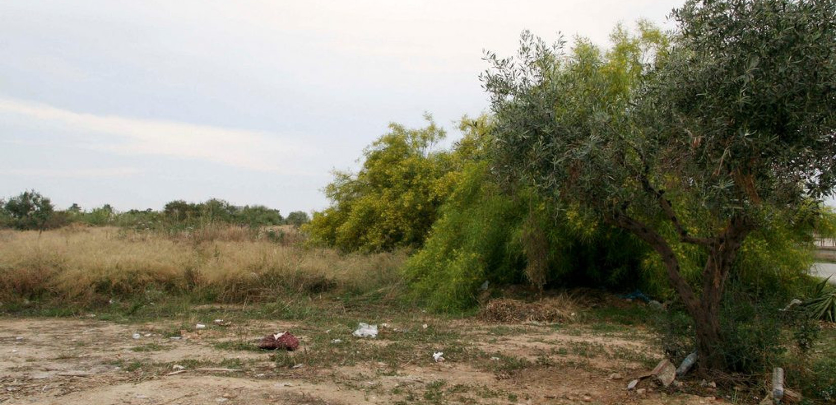 Ακαθάριστα οικόπεδα: Ανοίγει η «βεντάλια» των εκτάσεων, αυξάνουν οι υπόχρεοι