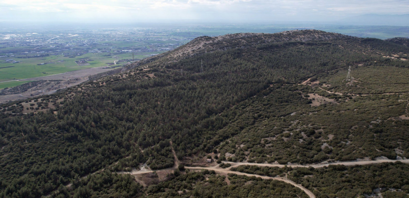Ωραιόκαστρο: Άσκηση αντιμετώπισης δασικής πυρκαγιάς μεγάλης έκτασης