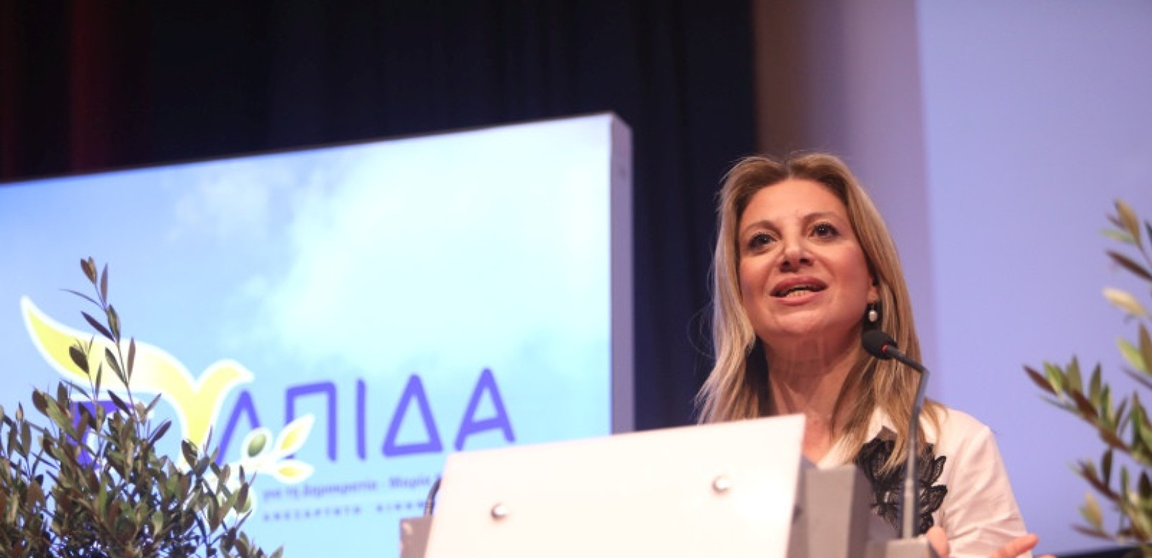 Ελπίδα για τη Δημοκρατία: Αυτό είναι το προσωρινό Πολιτικό Συμβούλιο του κινήματος