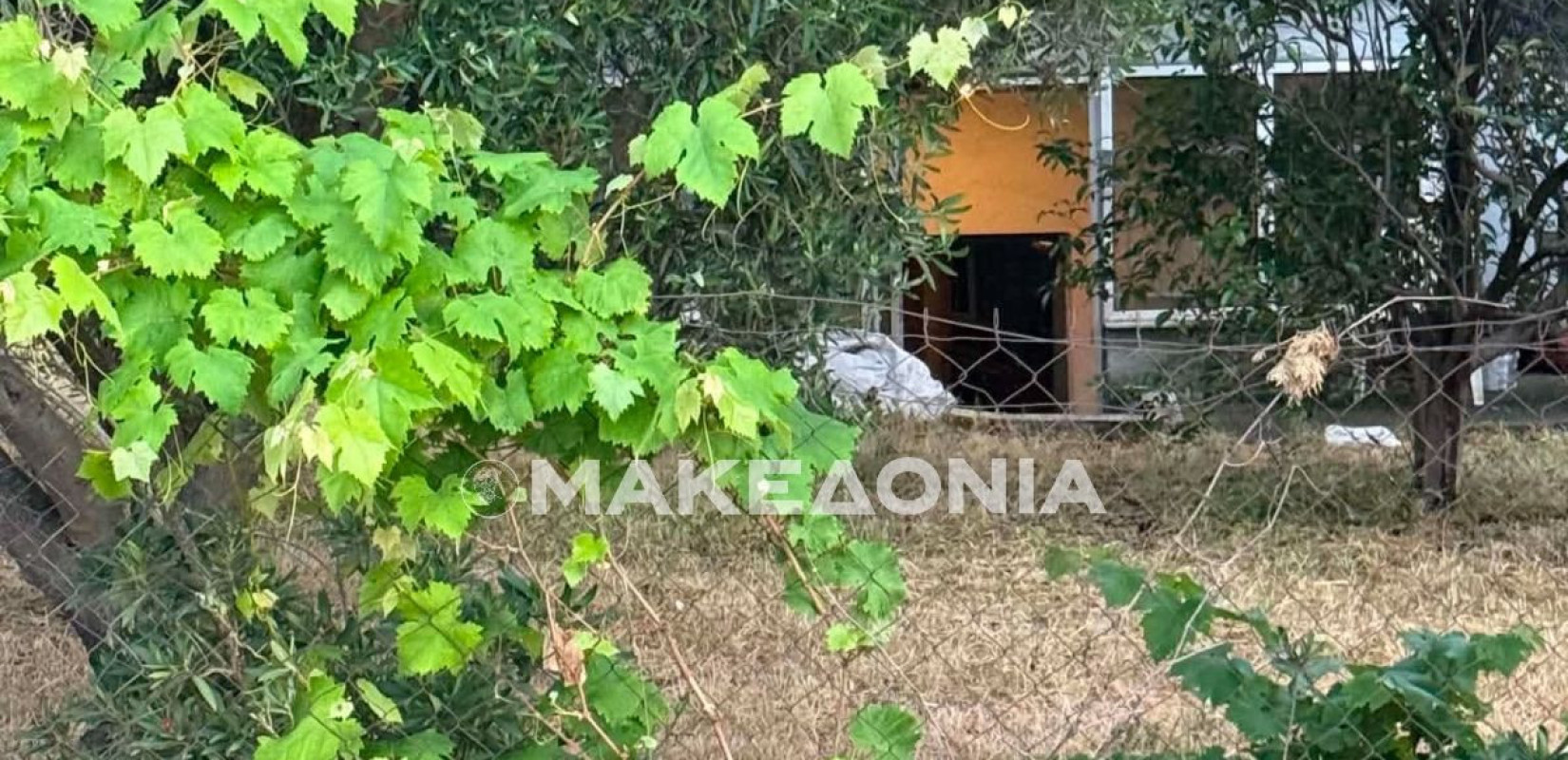 Θεσσαλονίκη: Πάνω από 14 χτυπήματα με κατσαβίδι και μαχαίρι έφερε ο 67χρονος που δολοφονήθηκε από τον γιο του