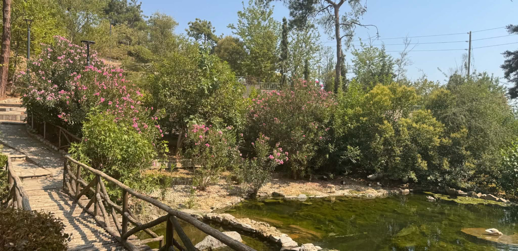 Θεσσαλονίκη: Εγκαταλείπεται το σχέδιο για μεγάλη επένδυση στον Ζωολογικό Κήπο - Σε εκμίσθωση πάει ο Δήμος