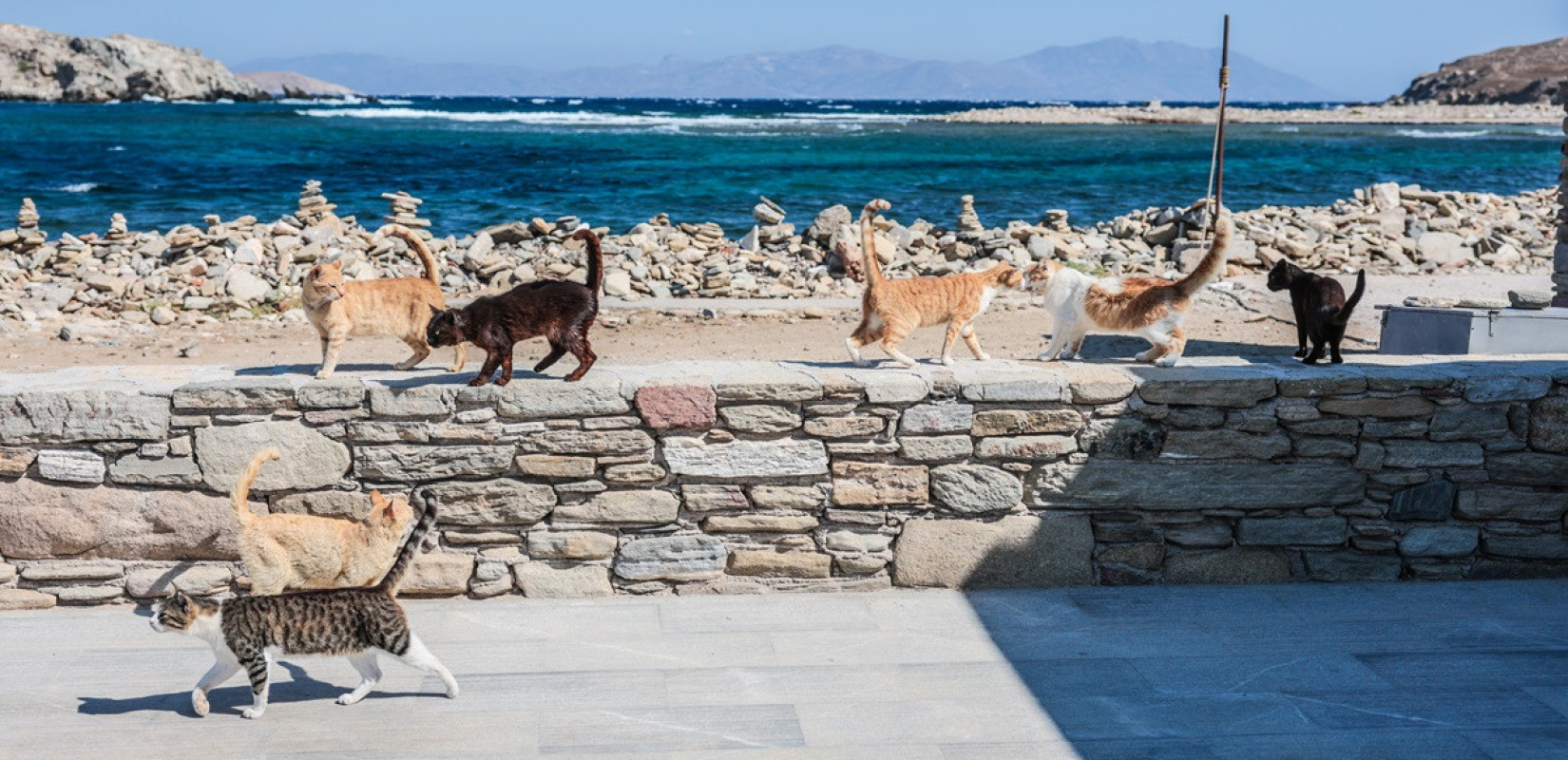 Καμπανάκι για τη Δήλο: Το νησί βυθίζεται ένα εκατοστό τον χρόνο