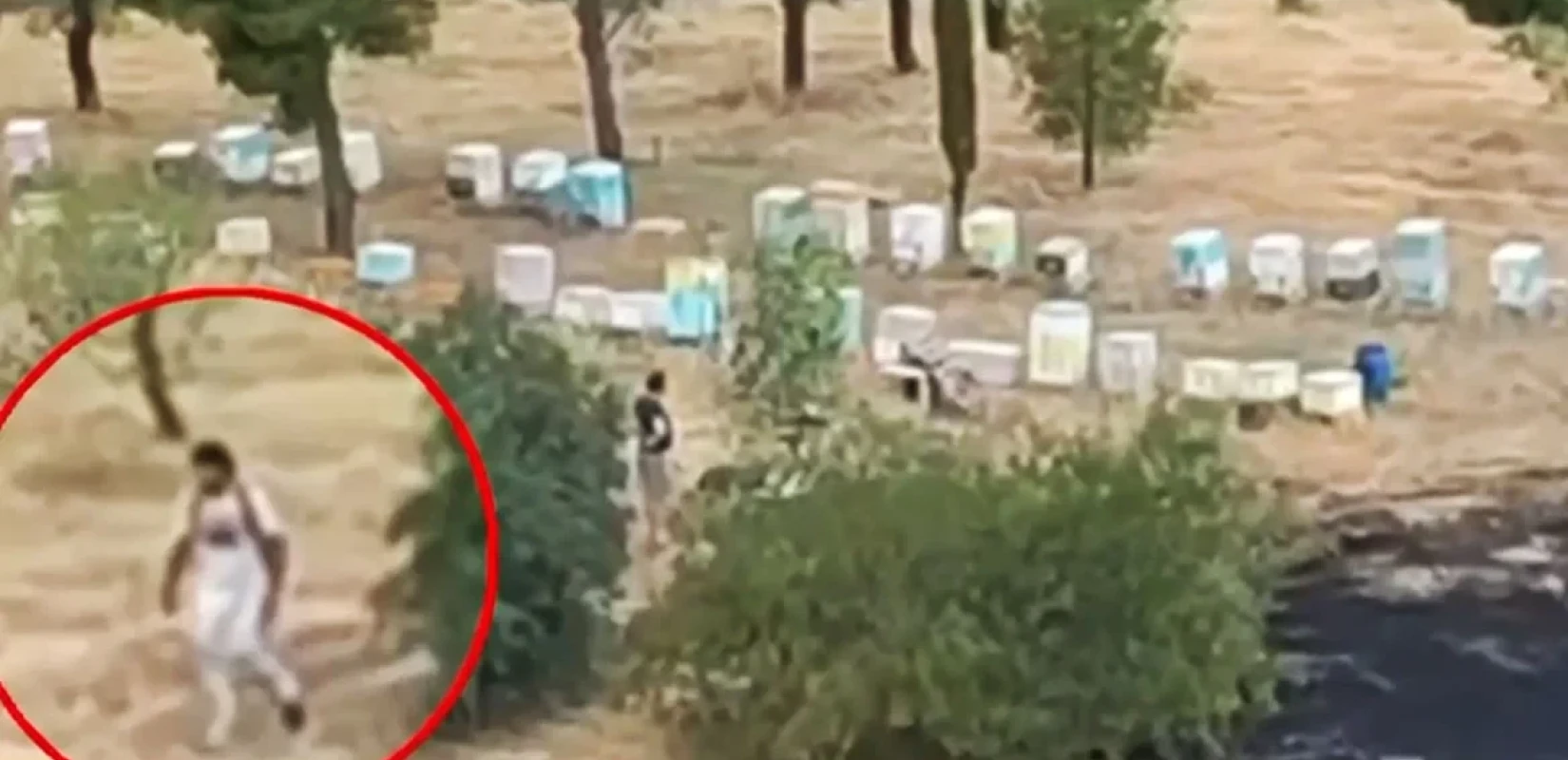 Συνελήφθη ο 45χρονος μελισσοκόμος που έβαλε τη φωτιά στο Άλσος Βεΐκου