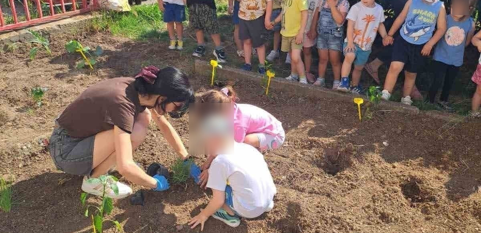 Δ. Ωραιοκάστρου: Παιδιά δημιούργησαν λαχανόκηπους σε παιδικούς σταθμούς