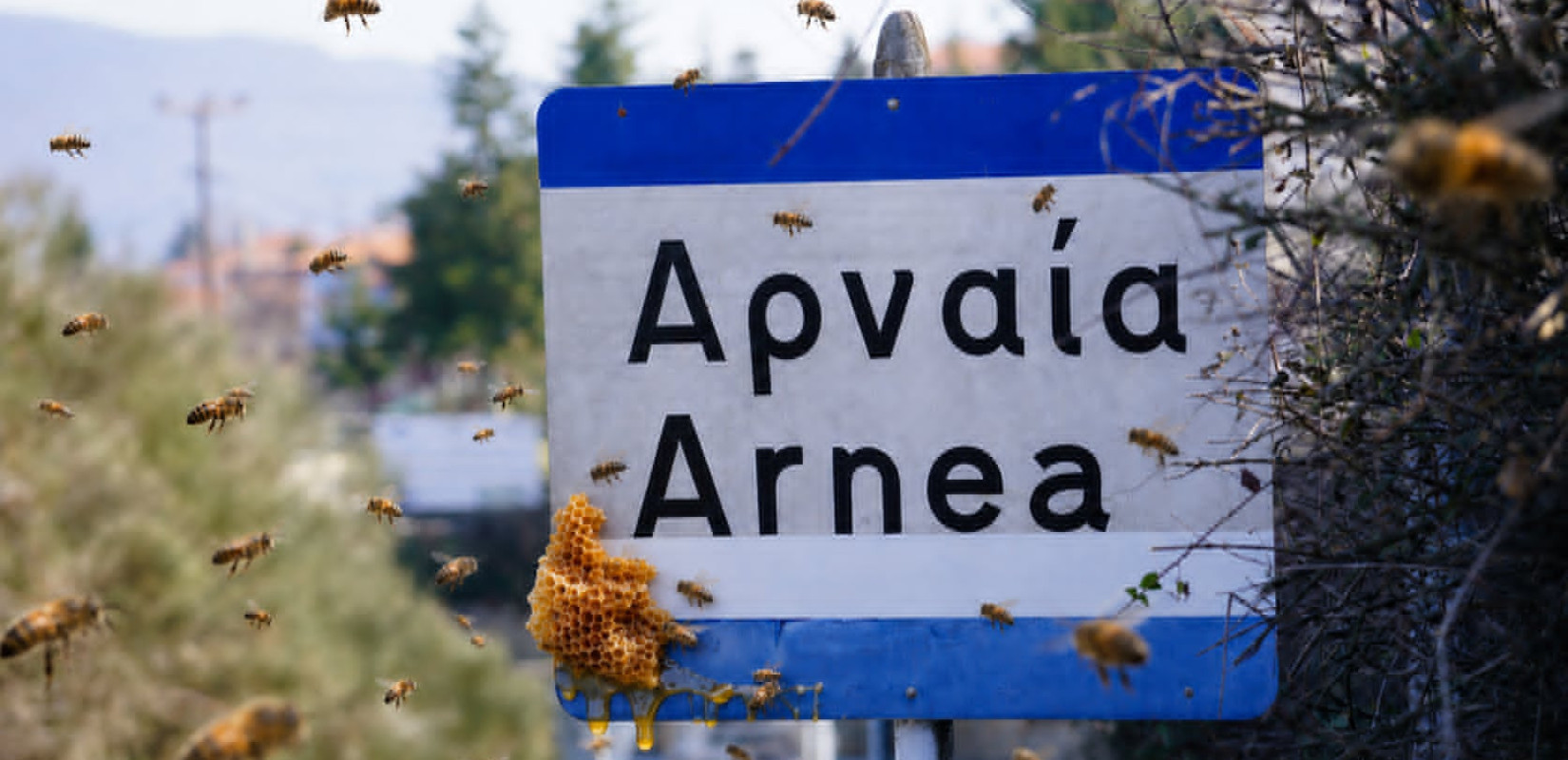Το πρώτο μουσείο μελιού στην Ελλάδα γεννιέται στην Αρναία