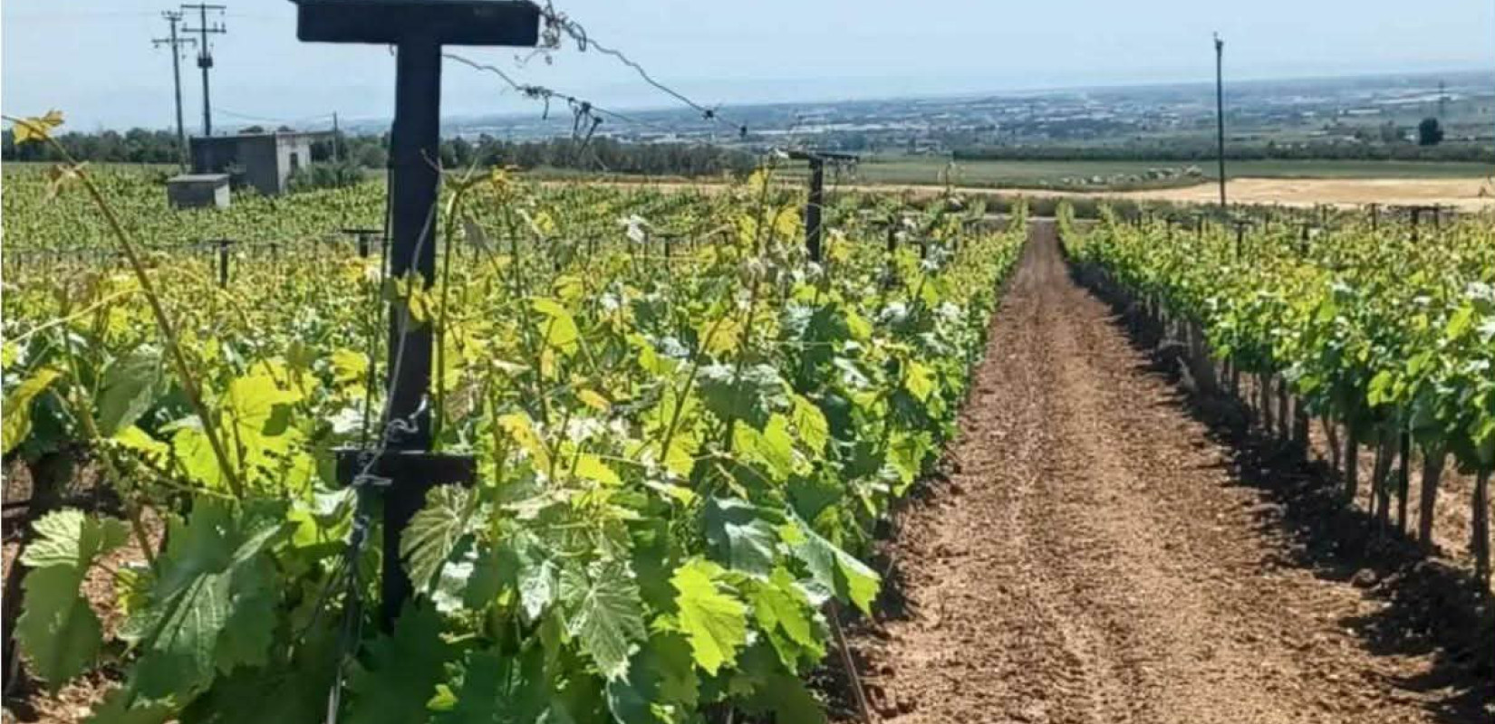 Δήμος Χαλκηδόνος: Υπεγράφη η σύμβαση για το αρδευτικό δίκτυο της Νέας Μεσημβρίας