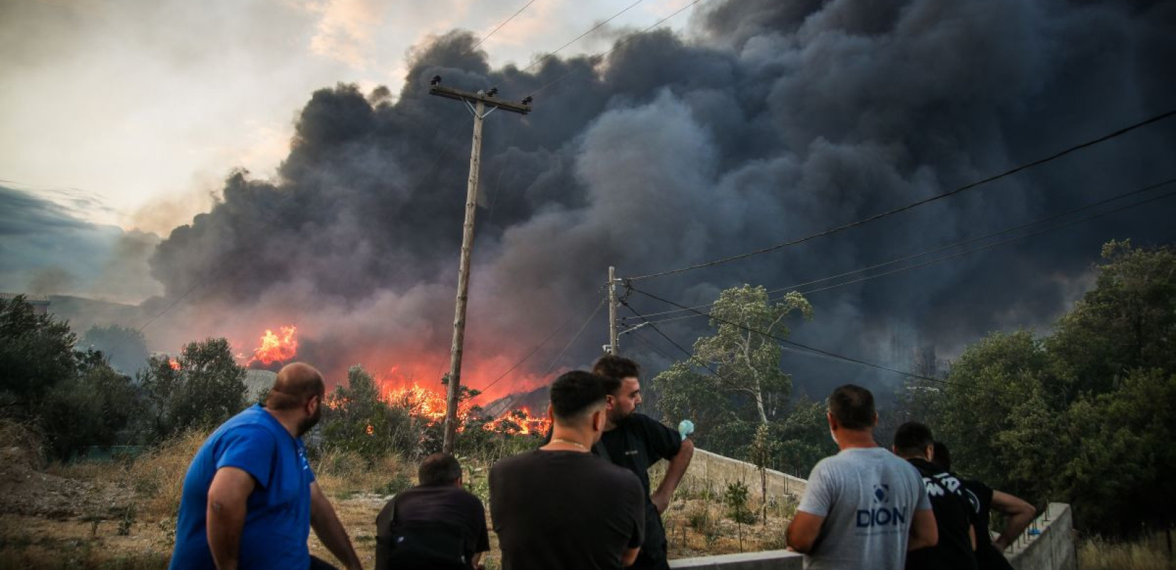 Βασίλης Βερβερίδης/Eurokinissi.gr