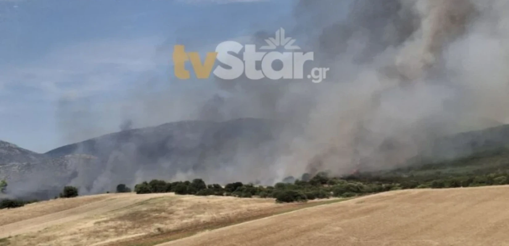 Συναγερμός στον Ορχομενό Βοιωτίας: Μαίνεται η μεγάλη πυρκαγιά - Ενισχύθηκαν οι επίγειες και εναέριες δυνάμεις
