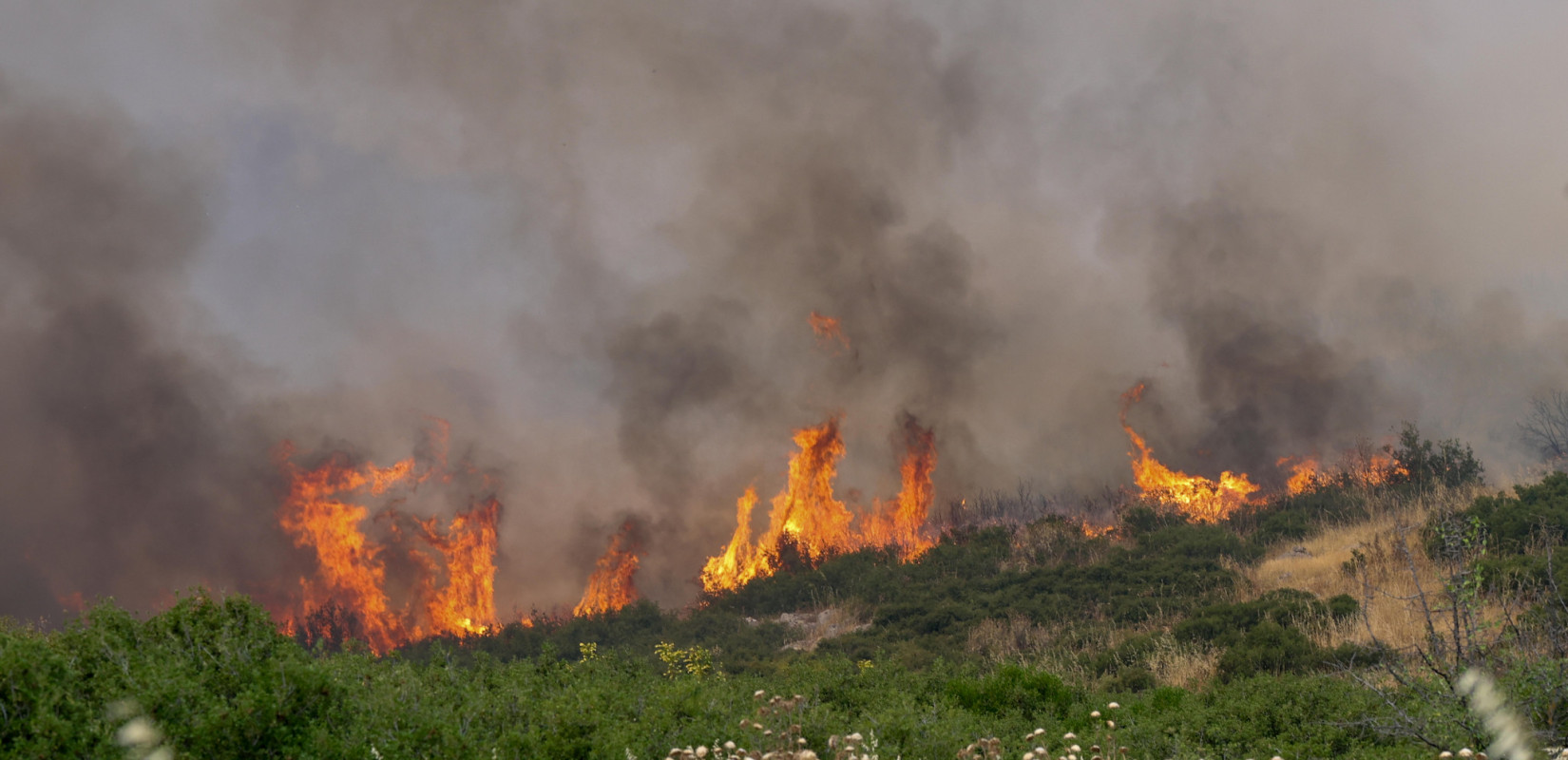 Φθιώτιδα: Χειροπέδες σε 43χρονο για τη μεγαλύτερη φετινή πυρκαγιά στη χώρα