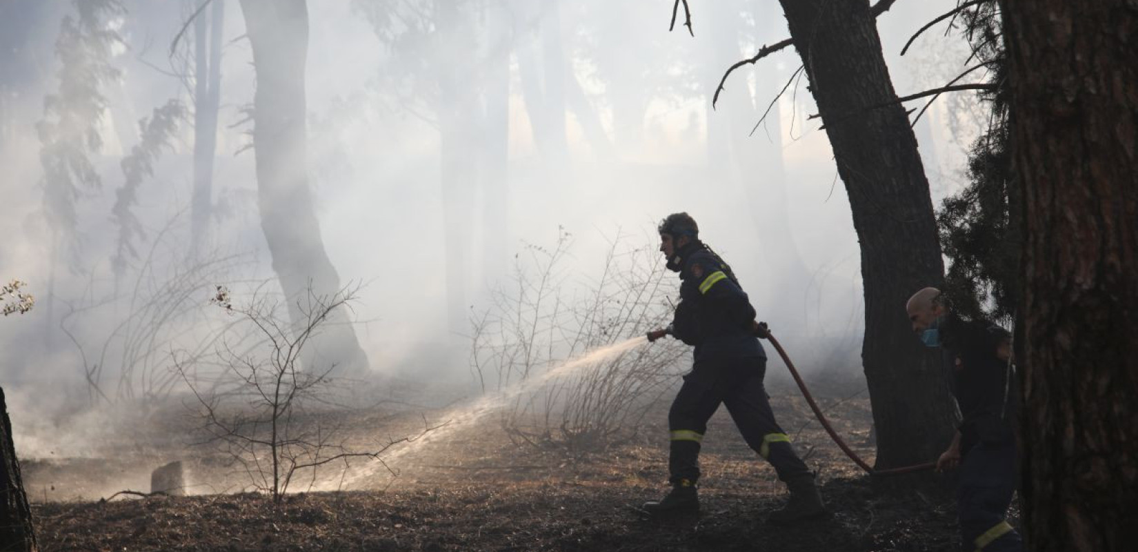 Πυροσβεστική: Τέσσερις συλλήψεις για πυρκαγιές από αμέλεια σε Αργολίδα, Καβάλα και Κορινθία