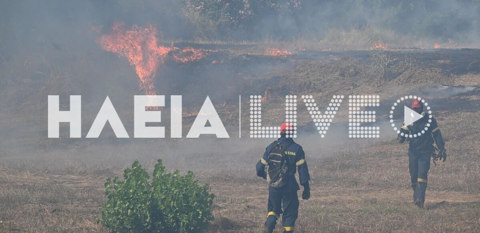 Πηγή: https://www.ilialive.gr/epikaira/431100/ileia-pyrkagia-se-agrotodasiki-ektasi-sti-varda-isxyres-dynameis-sti-maxi-me-tis-floges
