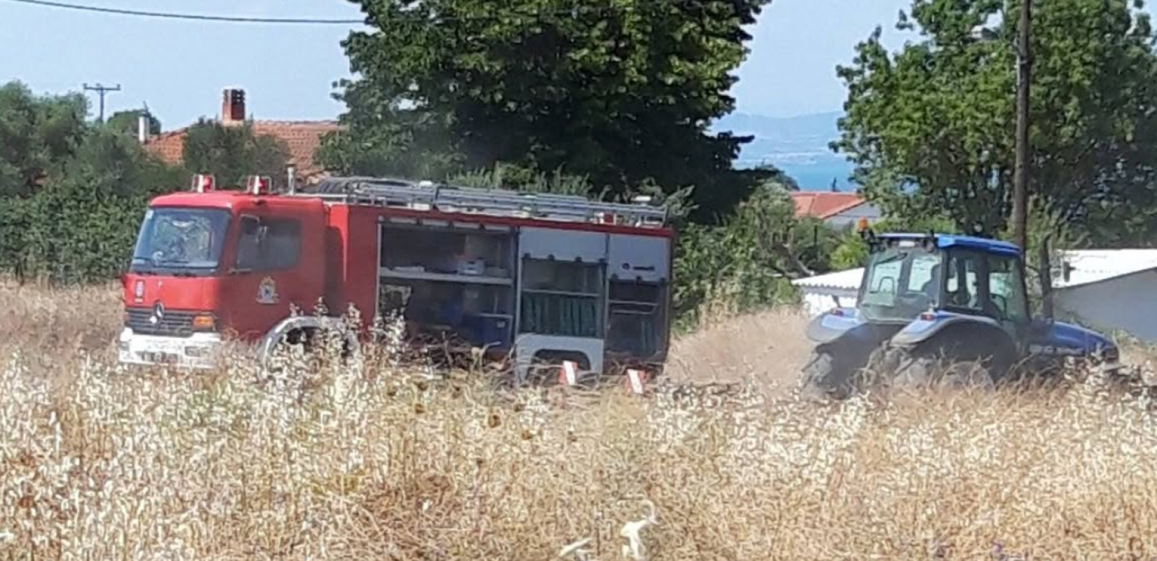 Θεσσαλονίκη: Χωρίς ενεργό μέτωπο μέσα σε 45 λεπτά η φωτιά στη Νέα Κερασιά (βίντεο)
