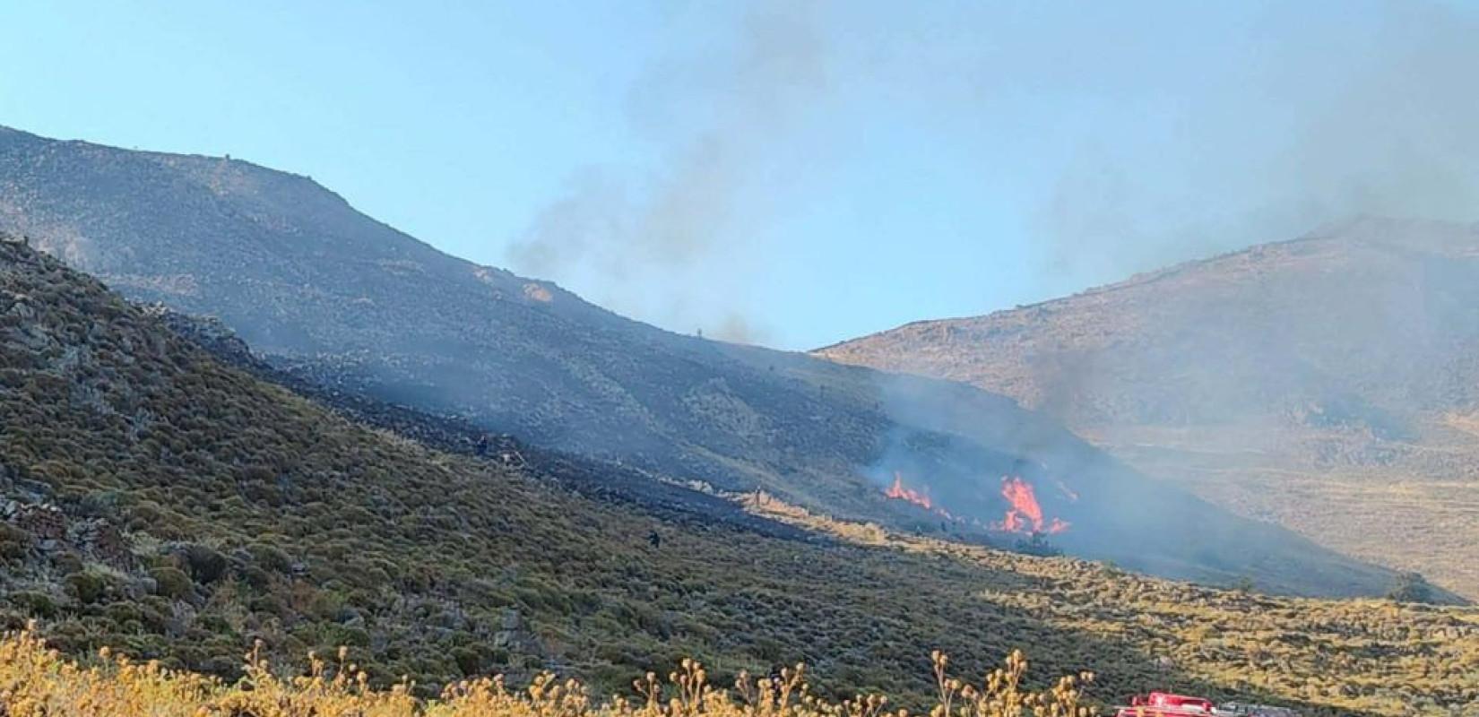 Πηγή: ertnews.gr