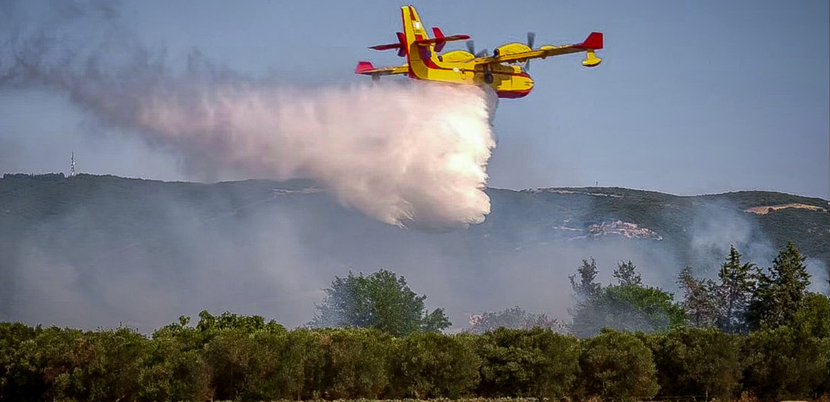 Θεσσαλονίκη: Yπό μερικό έλεγχο η φωτιά στο Ανατολικό του δήμου Δέλτα
