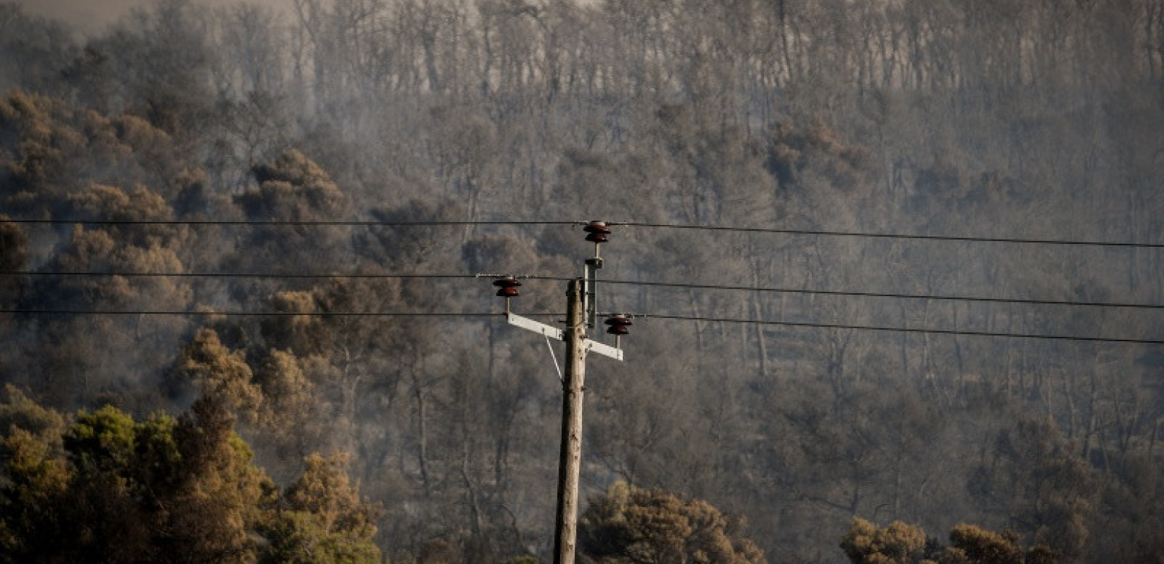 Χωρίς ενεργό μέτωπο η φωτιά στην Οινόη - Συνεχίζεται η εντατική επιτήρηση με drone και επίγειες δυνάμεις