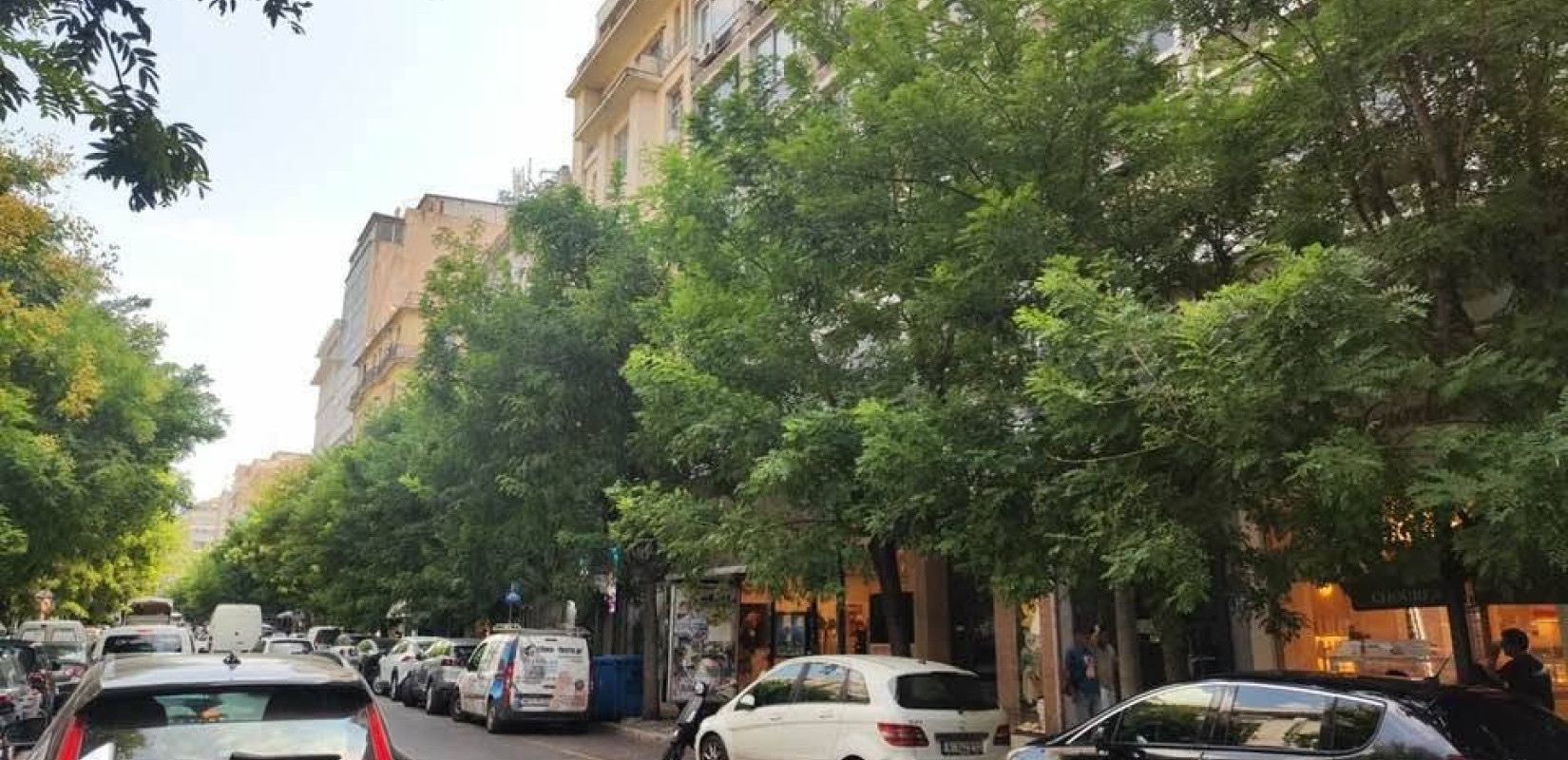 Δήμος Θεσσαλονίκης: Μήνυση κατ' αγνώστων για δύο δέντρα που ξεράθηκαν