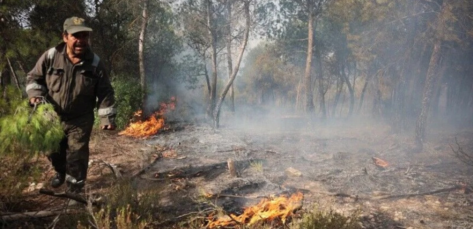 Πύρινος εφιάλτης στην Αλγερία: Έξι νεκροί από τις ανεξέλεγκτες φωτιές - Στάχτη δάση και σπίτια