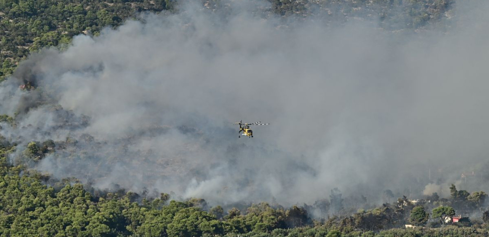 Δ. Αττική: Μάχη με τις διάσπαρτες εστίες στην Ψάθα - Συνεχείς οι προσπάθειες για την πλήρη οριοθέτηση