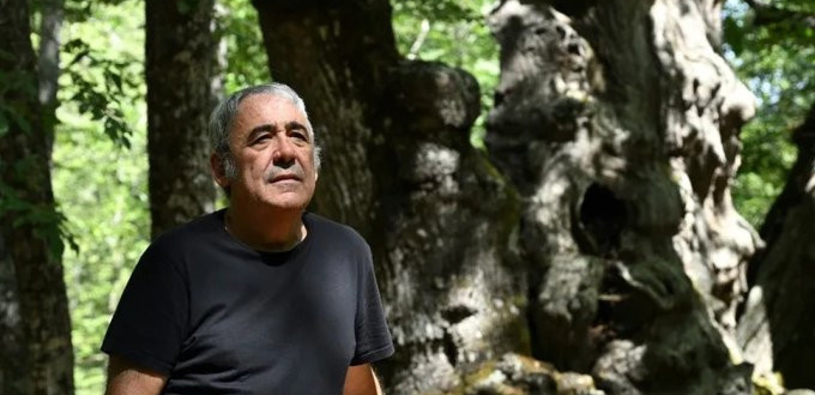 Ισπανία: Πόλη ενώθηκε για να σώσει μία καστανιά 500 ετών από τις φλόγες