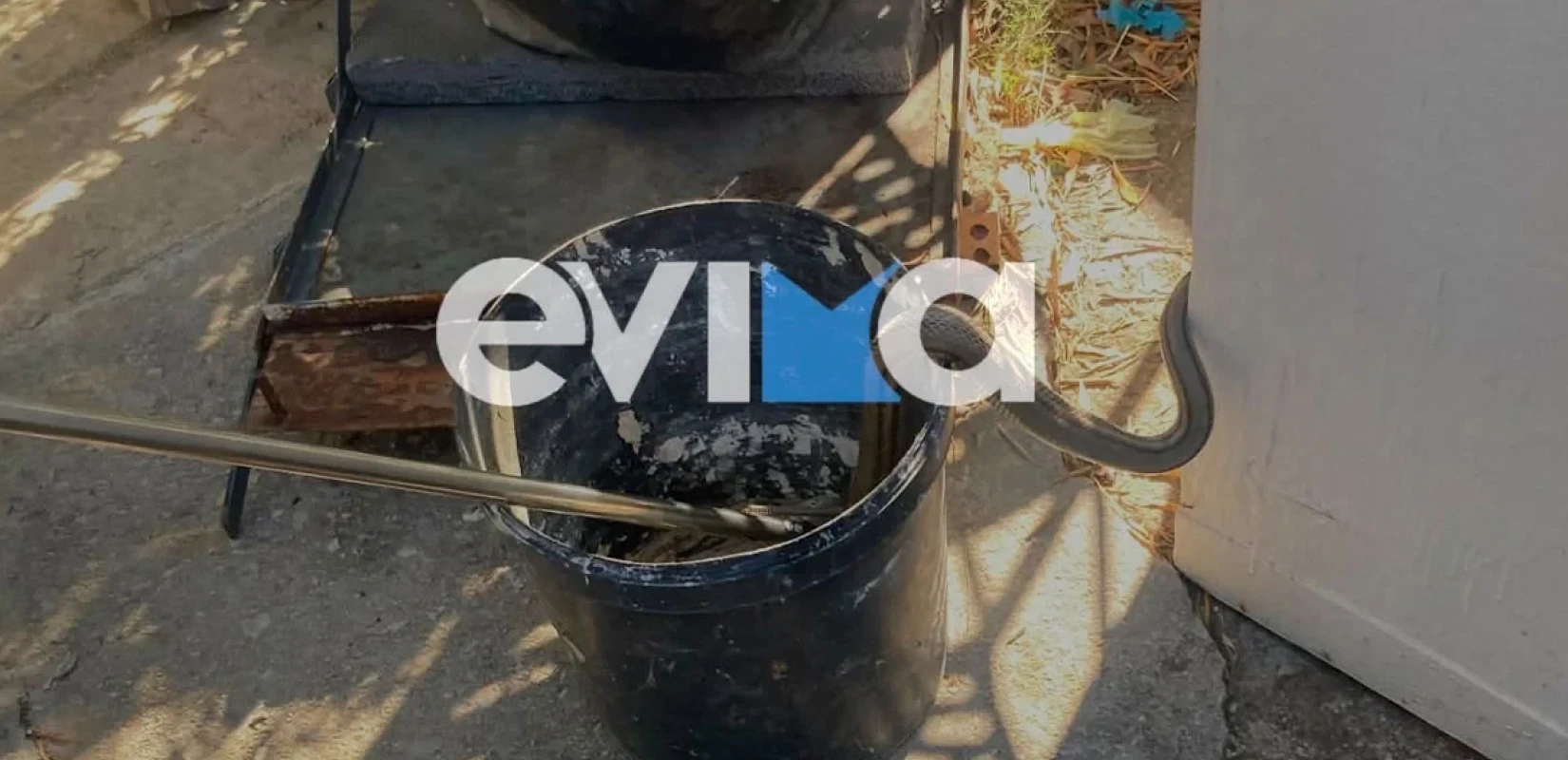 Φίδι δύο μέτρων εισέβαλε σε αποθήκη κατοικίας στην Εύβοια
