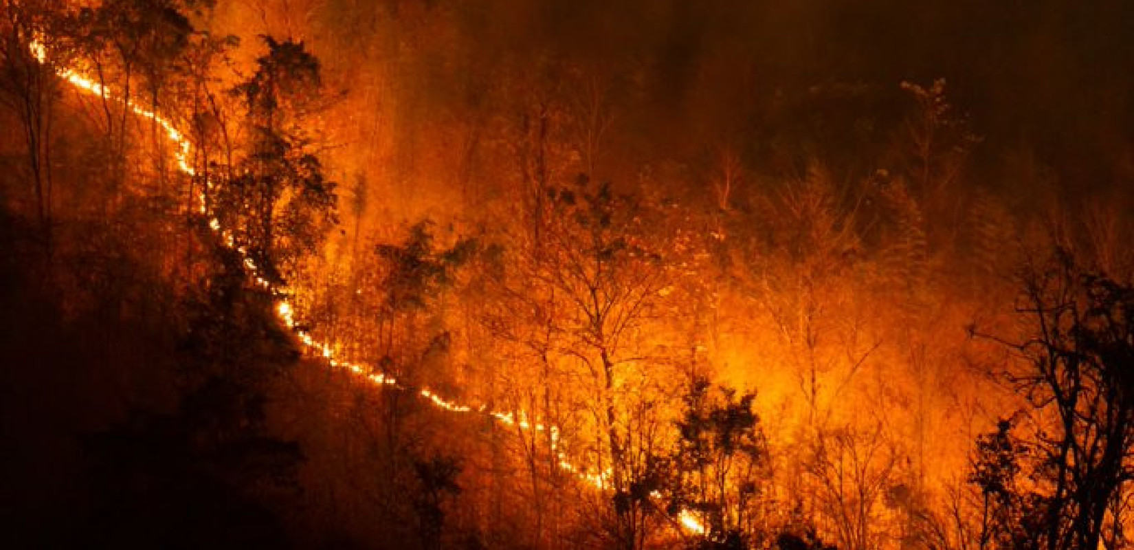 Ξημέρωσε ακόμα μια μάχη με τις φλόγες - Χιλιάδες άνθρωποι σε Ισπανία και Γαλλία αναζητούν καταφύγιο (βίντεο)
