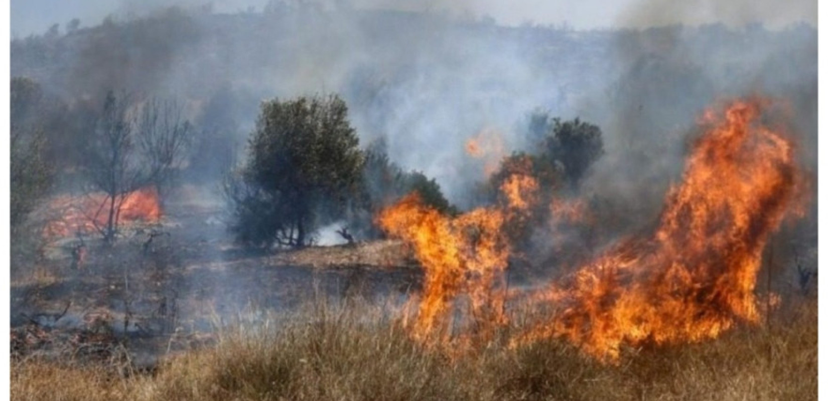 Συναγερμός στη Μυτιλήνη: Εκκενώνονται προληπτικά τμήματα του Πλωμαρίου λόγω πυρκαγιάς (βίντεο)