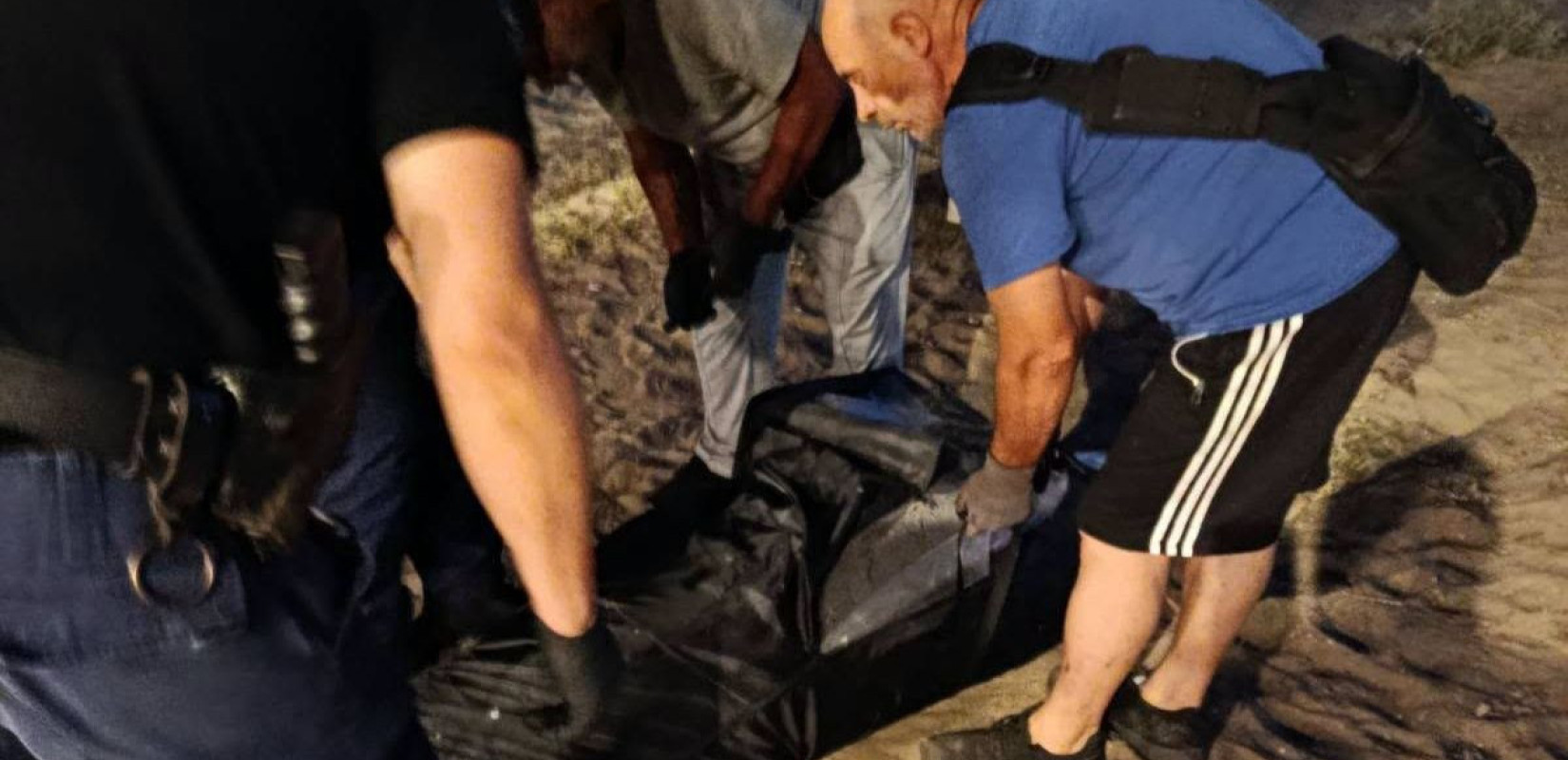 Καλαμαριά: Δελφίνι ξεβράστηκε νεκρό στην παραλία στην Αρετσού