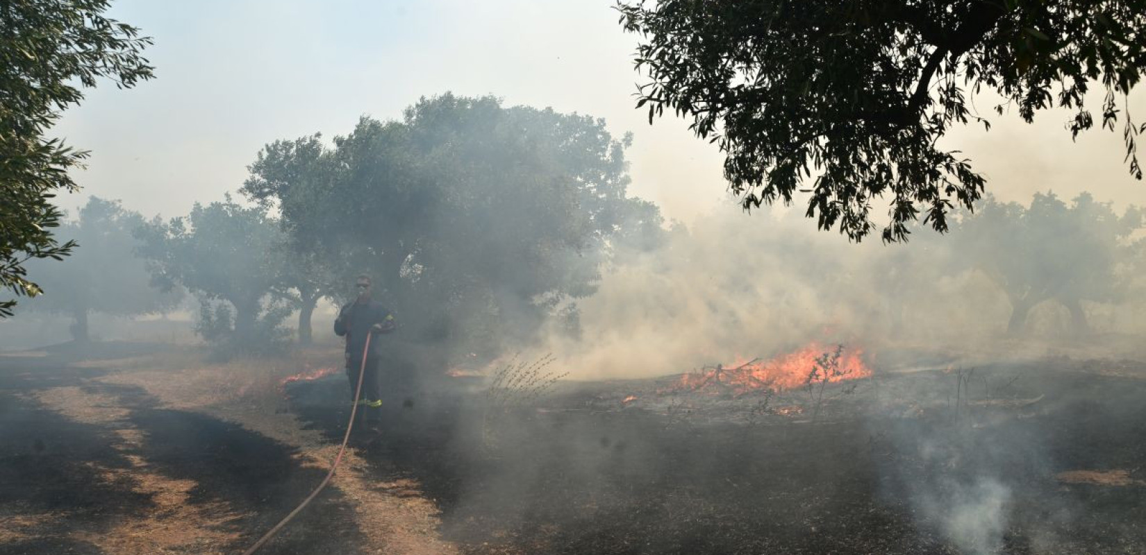 Νέα πυρκαγιά στη Βέροια: Συναγερμός στον ορεινό όγκο κοντά στην Καστανιά