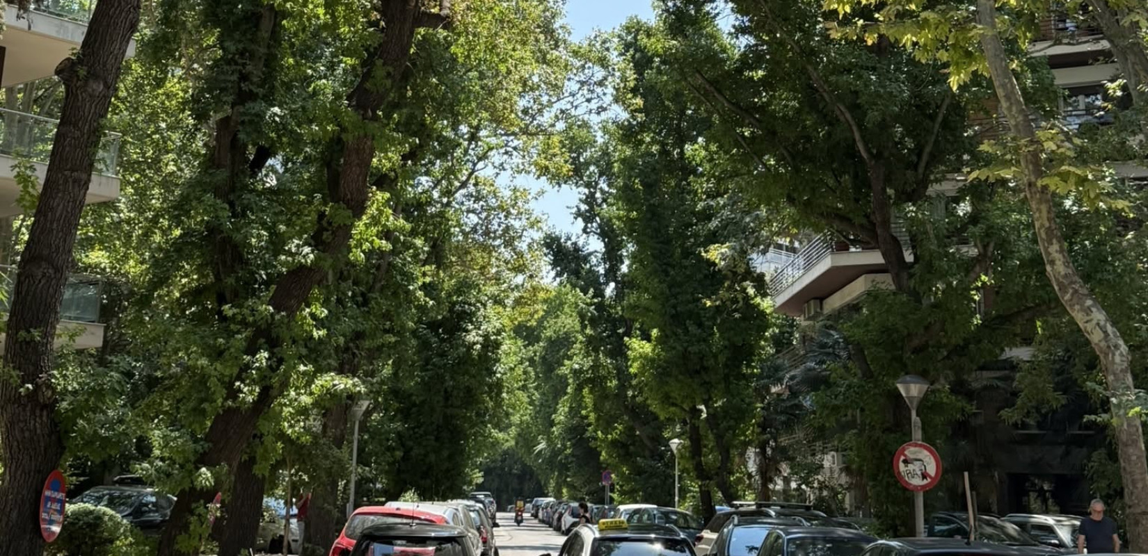 Θεσσαλονίκη - Διαμαντάκης για τις κλαδεύσεις: «Το αποτέλεσμα μας δικαιώνει - Τα δέντρα είναι ξανά καταπράσινα»