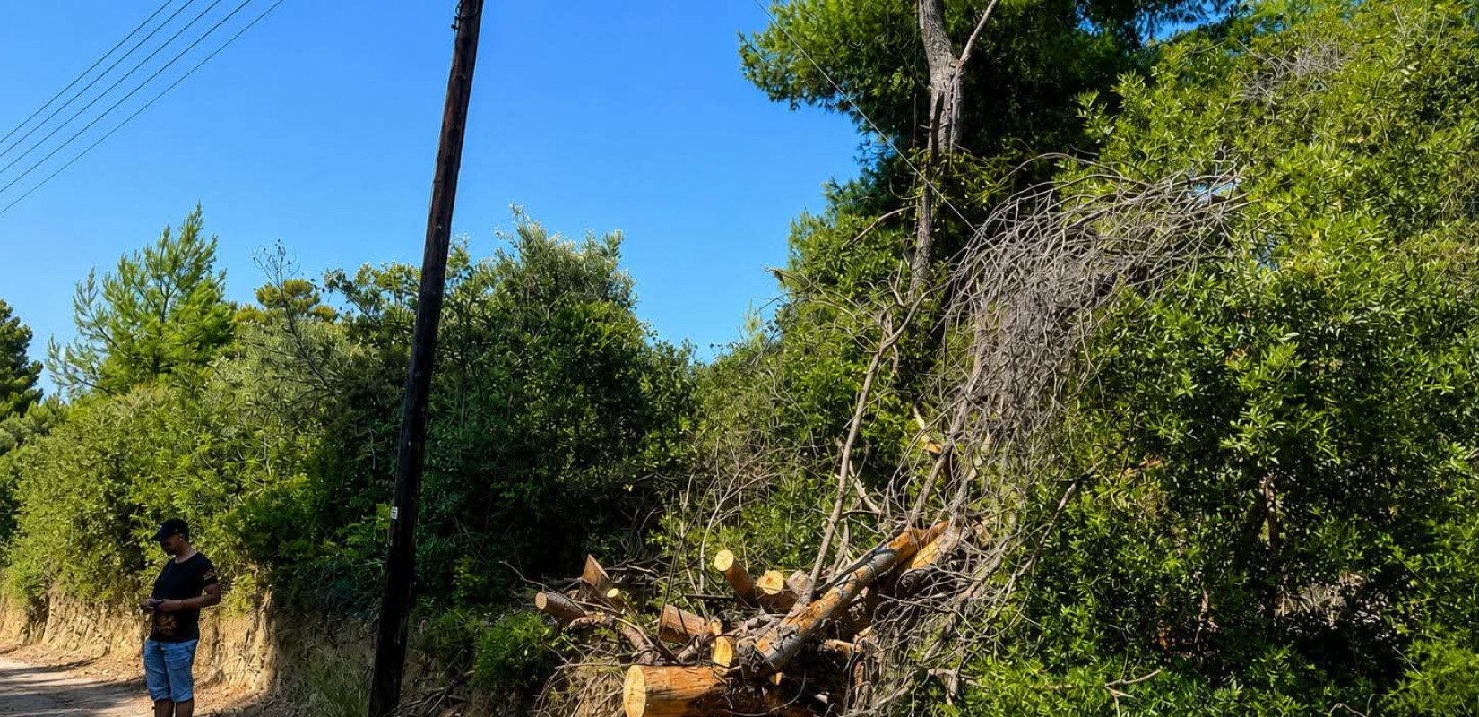 Χαλκιδική: Αυτό είναι το σημείο «μηδέν» από το οποίο ξεκίνησε η καταστροφική φωτιά στη Σίβηρη