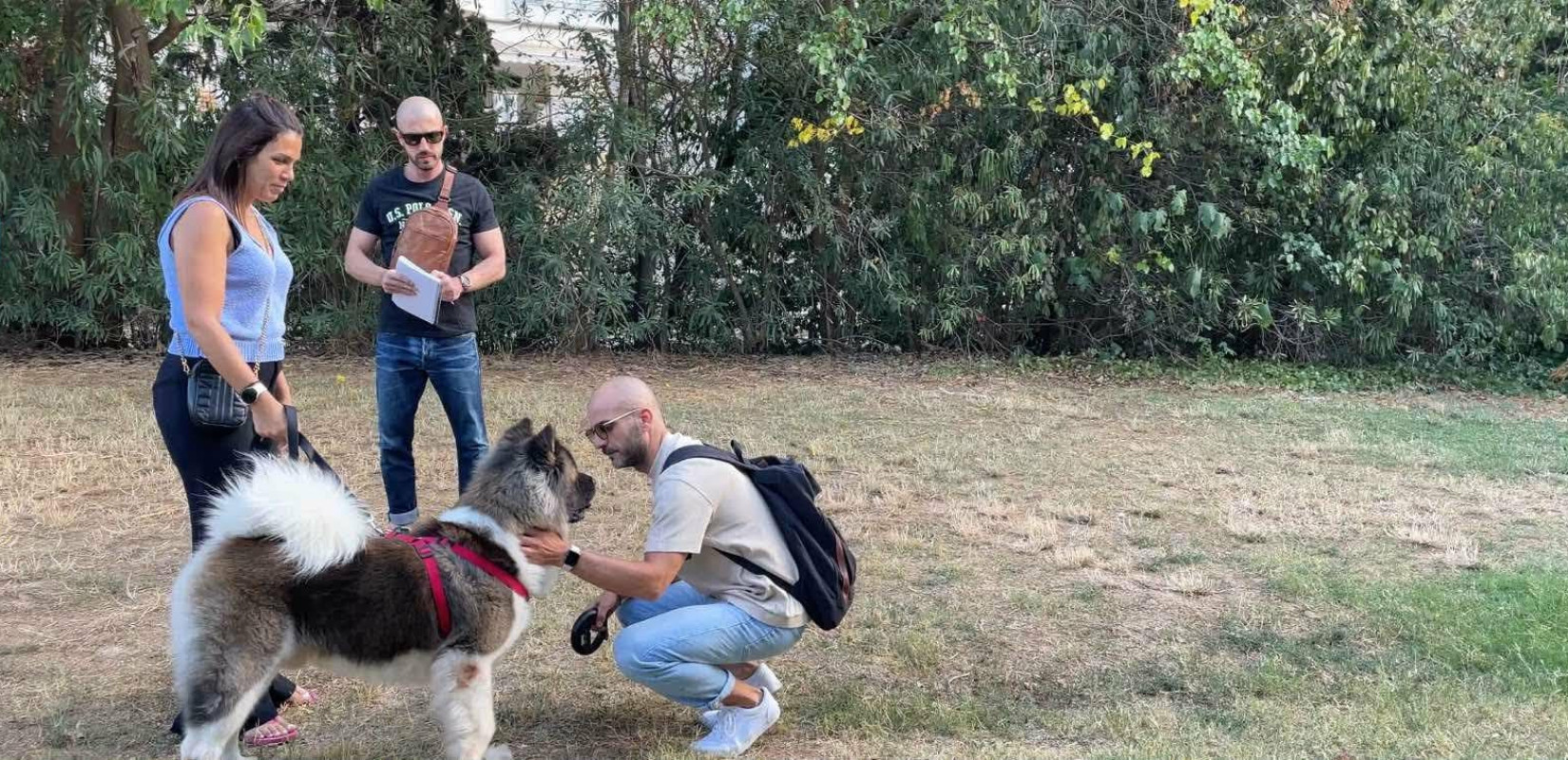 Θεσσαλονίκη: Πανελλαδική πρωτιά στη διαχείριση των ζώων συντροφιάς με τη συνδρομή ειδικής ομάδας της ΕΛ.ΑΣ. - Πόσο αυξήθηκε ο πληθυσμός τους το 2021-2025 (πίνακες)