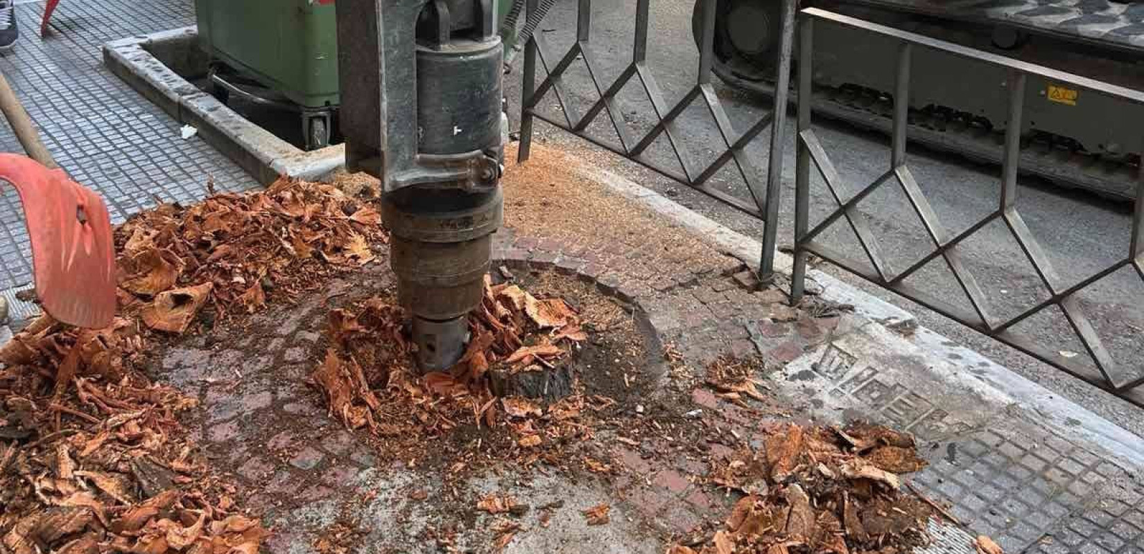 Δήμος Θεσσαλονίκης: Συνεχίζεται η «μάχη» για το αστικό πράσινο - Πάνω από 2.500 δενδροδόχοι καθαρίστηκαν στα πεζοδρόμια
