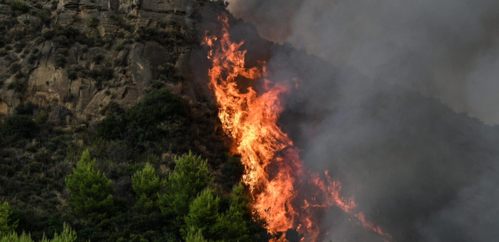 Πυρκαγιά στο Μουζάκι Πύργου - Μεγάλη κινητοποίηση της Πυροσβεστικής, 105 πυροσβέστες στο μέτωπο