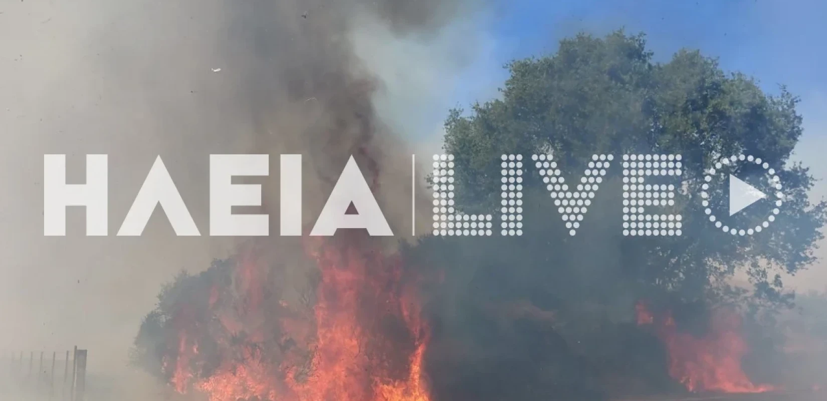 Πηγή: https://www.ilialive.gr/epikaira/434524/voreia-ileia-se-yfesi-oi-pyrkagies-se-gastoyni-kai-melissa-i-amesi-kinitopoiisi-ton-enaerion-prolave-tin-eksaplosi-tous