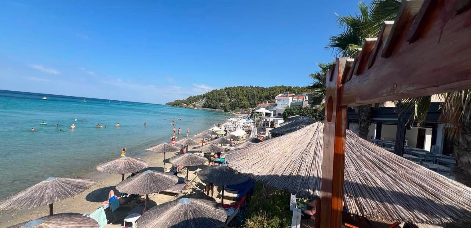 Χαλκιδική: Η Κασσάνδρα μετά  την πυρκαγιά - Επέστρεψαν οι παραθεριστές (βίντεο)