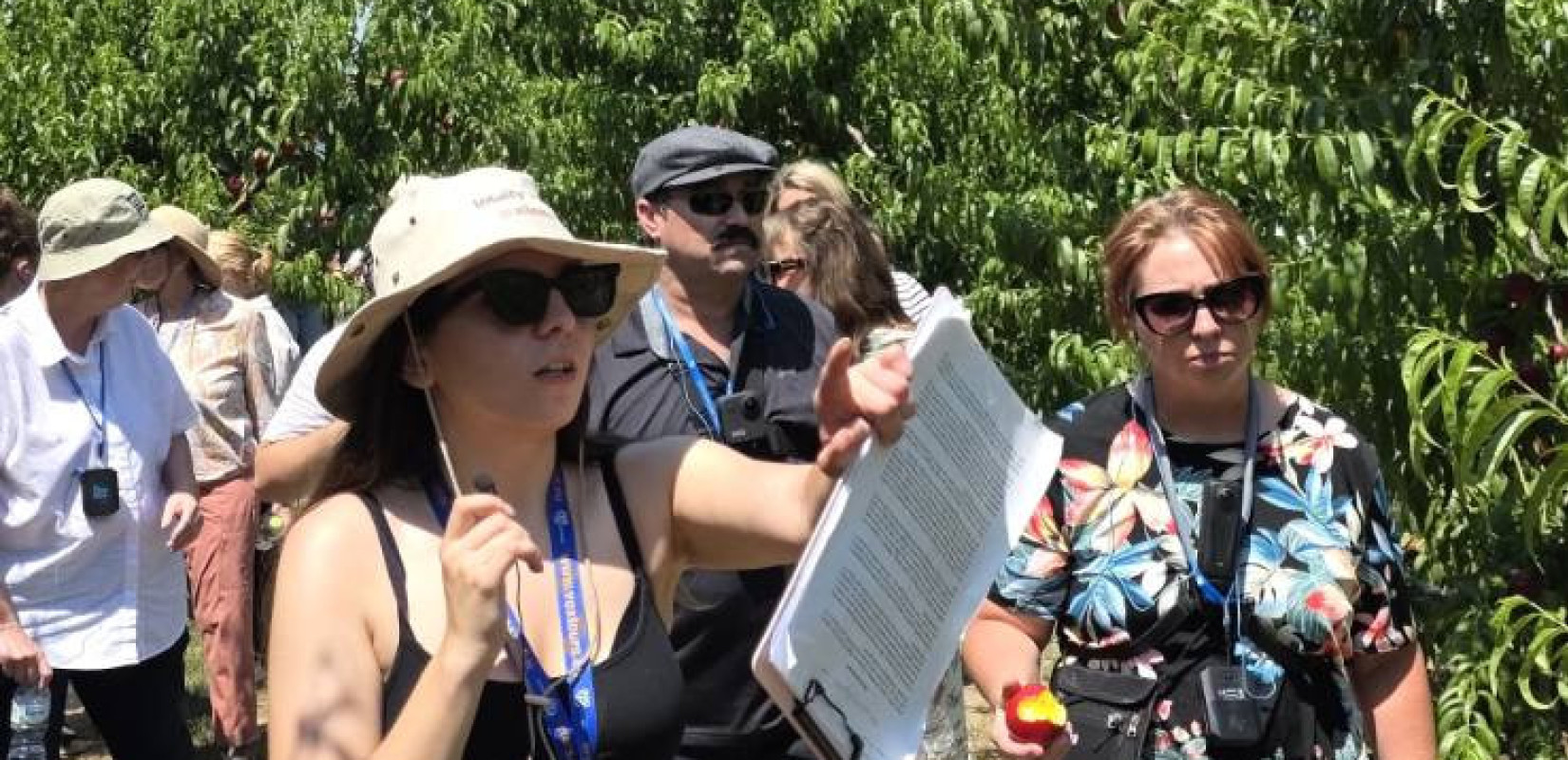 Από το Κεντάκι στην Ημαθία: Χημικός μετατρέπει το χωράφι σε τουριστικό προορισμό με γεύματα κάτω από τις ροδακινιές
