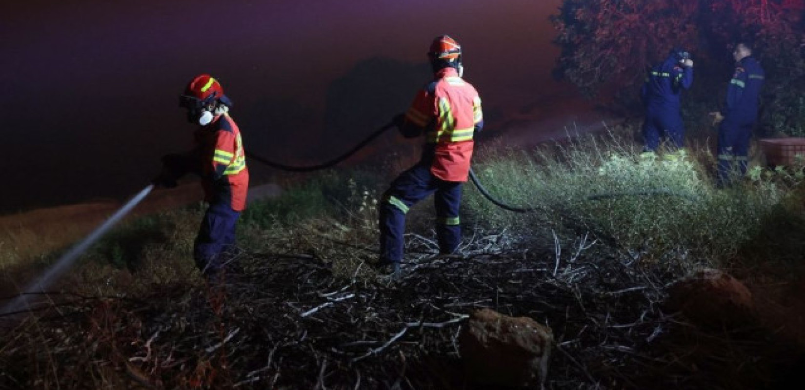 Κέρκυρα: Φωτιά σε δάσος στον Άγιο Γεώργιο