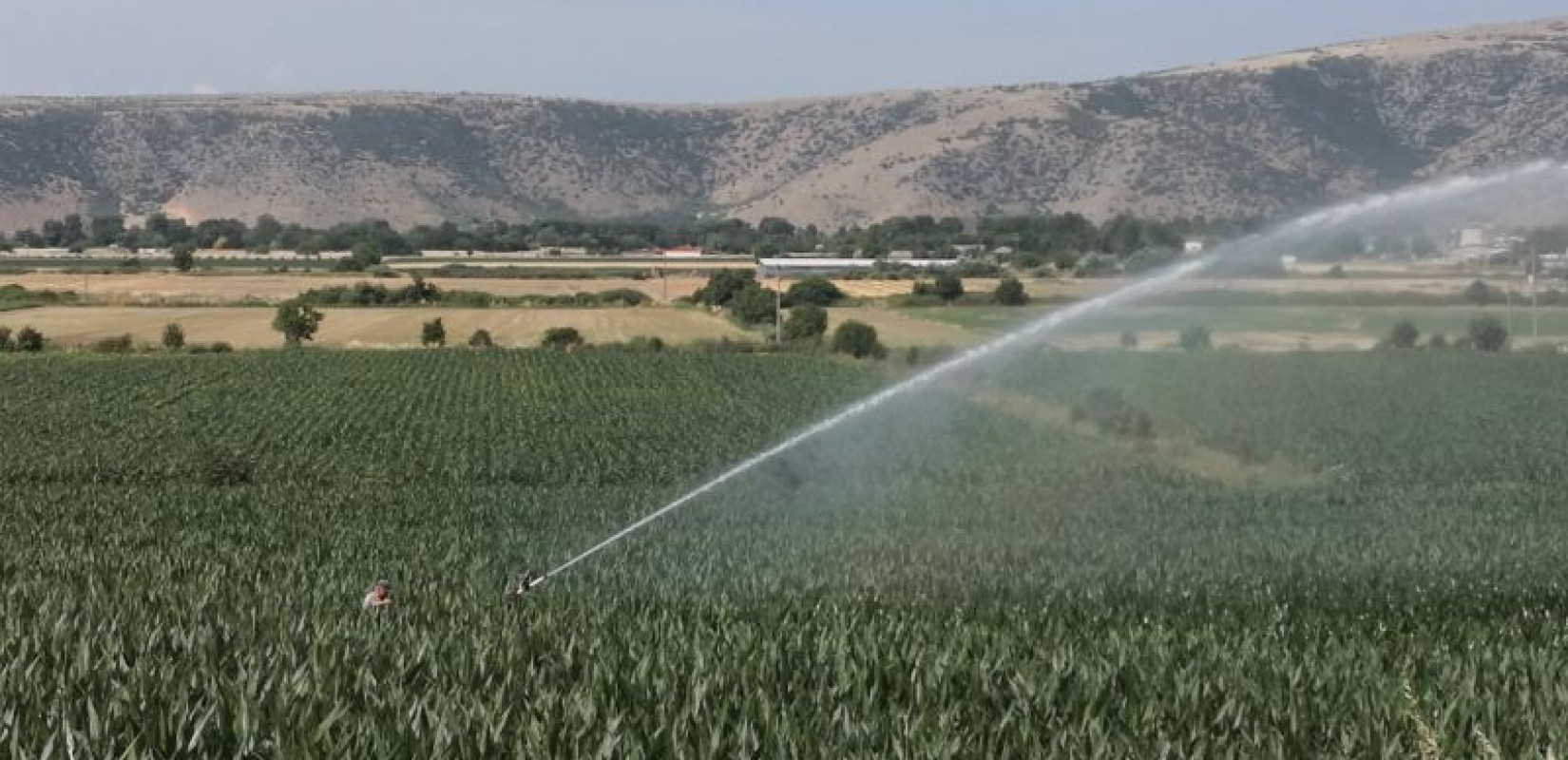 «Νερό με το σταγονόμετρο» στη Θεσσαλία - Καμπανάκι για την υπερεκμετάλλευση των υδάτινων αποθεμάτων