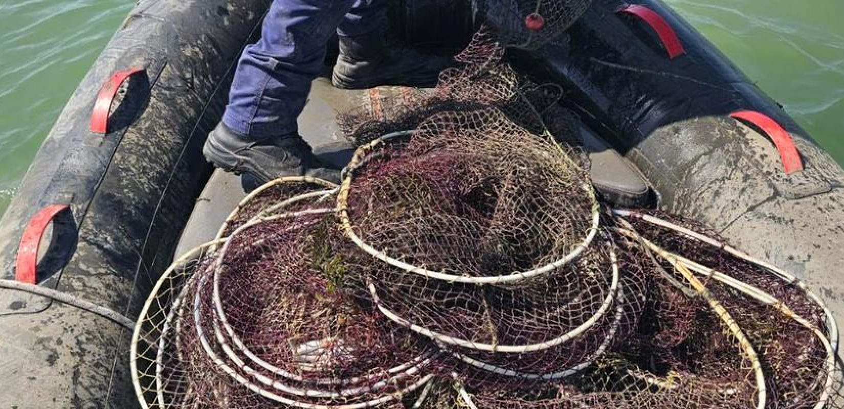 Θεσσαλονίκη: Εντοπίστηκαν και κατασχέθηκαν 96 ιχθυοπαγίδες στον Θερμαϊκό Κόλπο