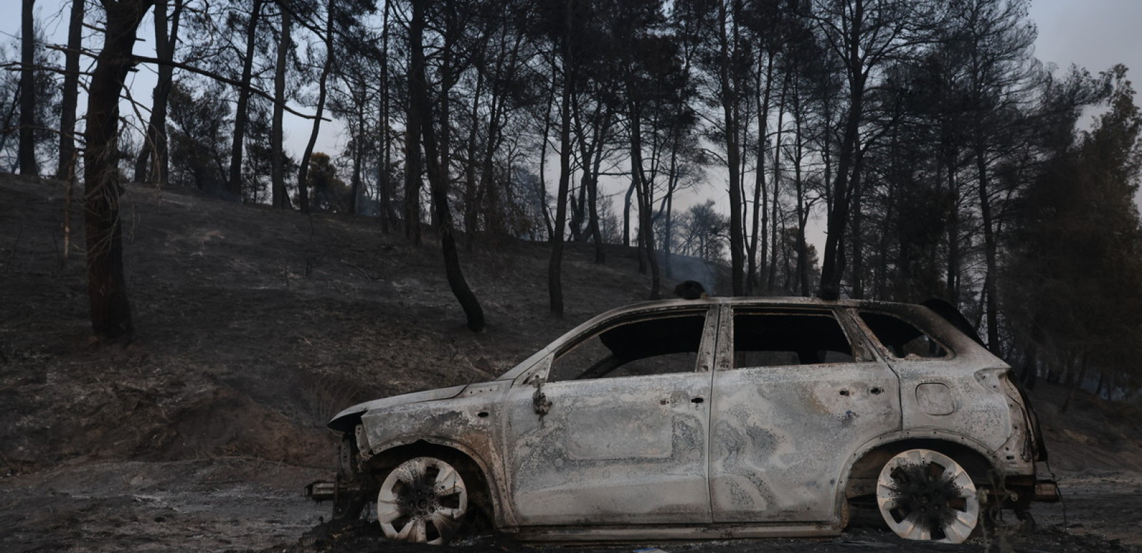 Σίβηρη: Υλοτόμηση καμένων, αντιπλημμυρικά και αντιδιαβρωτικά έργα - 2.500 στρέμματα η πληγείσα έκταση