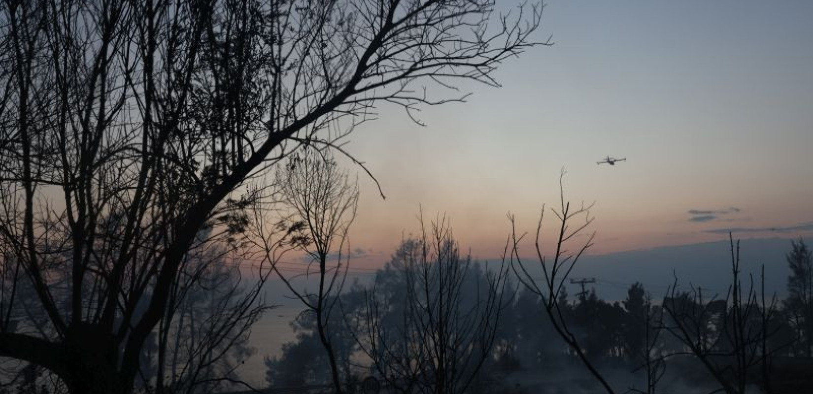 Σίβηρη - Το «ευχαριστώ» του Προέδρου Ιατρικού Συλλόγου Χαλκιδικής: «Μέσα σε όλη αυτή την καταστροφή, δεν χάθηκε ανθρώπινη ζωή»