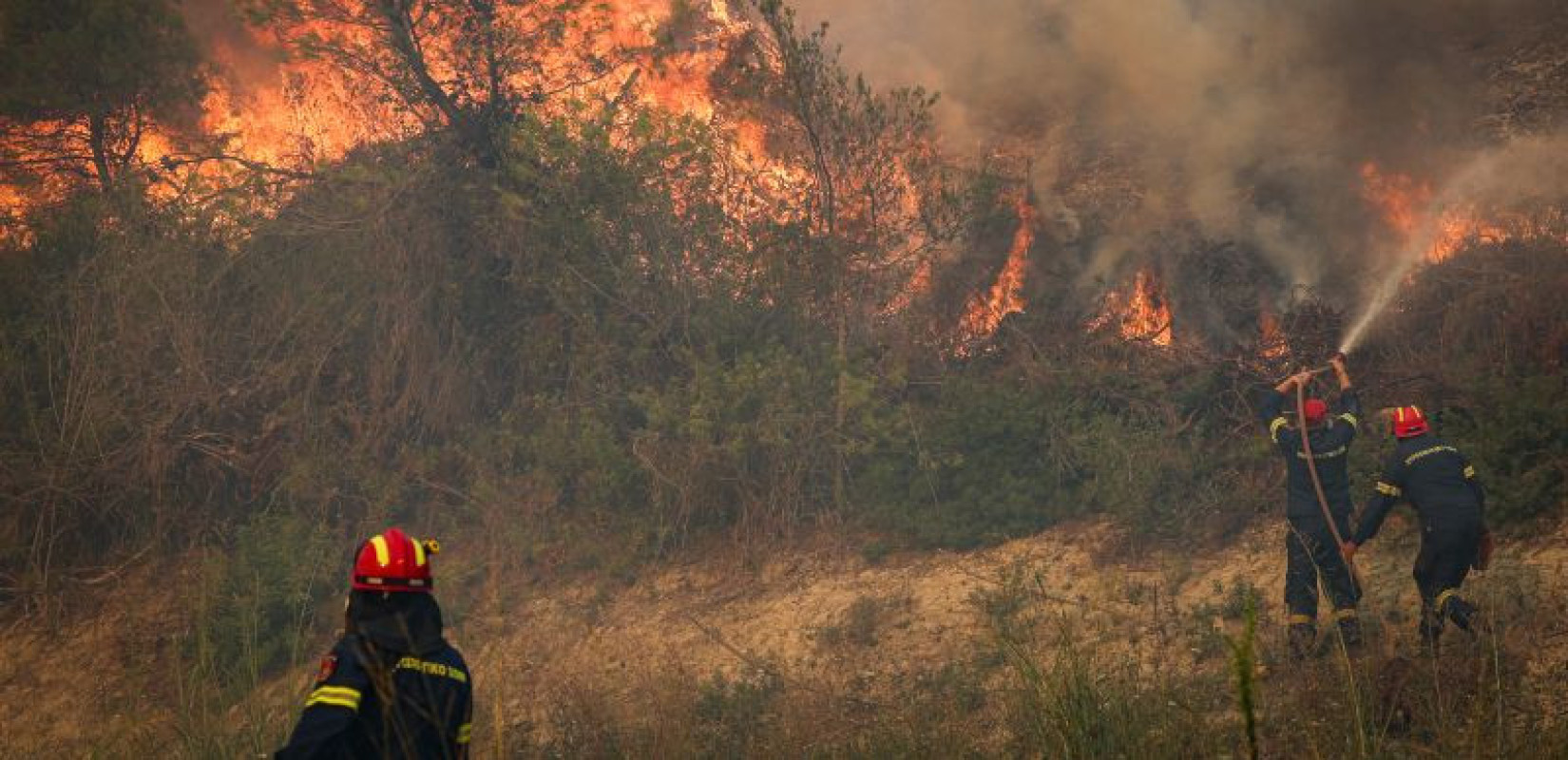 Χαλκιδική: Απαγόρευση κυκλοφορίας σε δασικές περιοχές σήμερα λόγω υψηλού κινδύνου πυρκαγιάς
