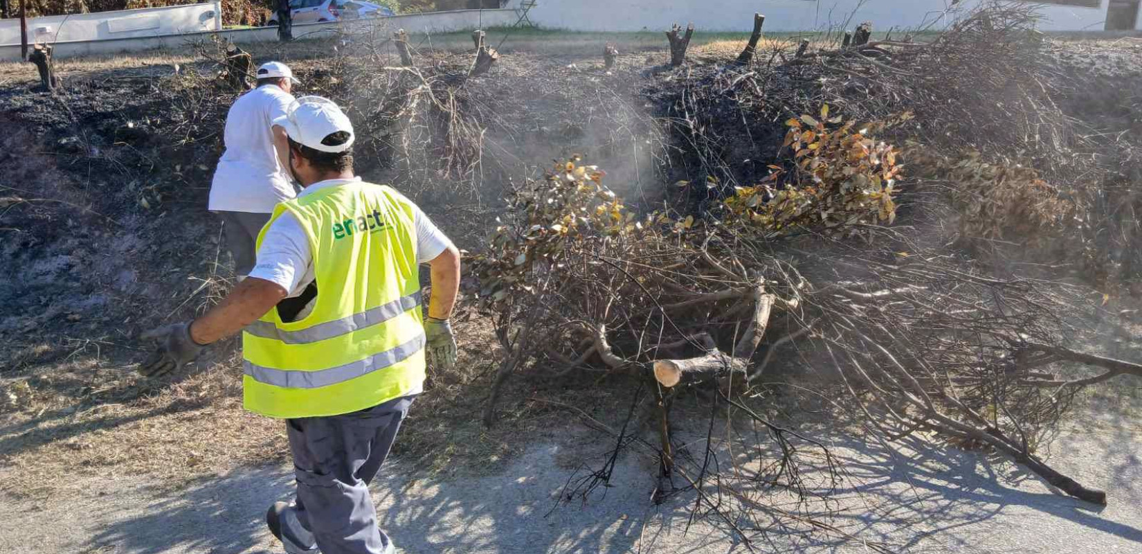 Χαλκιδική: Εκτεταμένοι καθαρισμοί στη Σίβηρη μετά τη μεγάλη πυρκαγιά