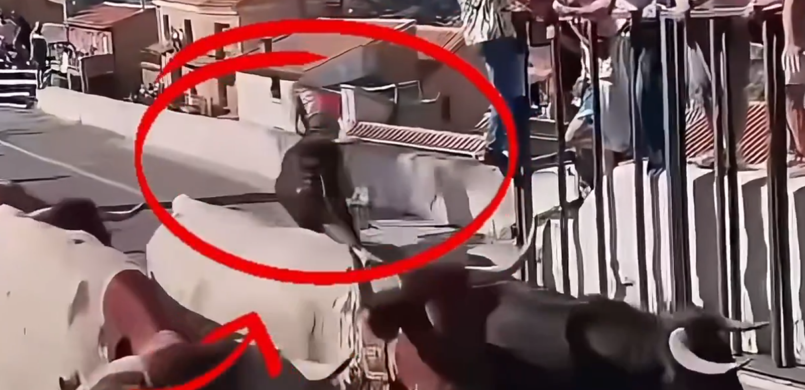 Τραγωδία στην Ισπανία: Ταύρος σκότωσε 64χρονη κατά τη διάρκεια ταυροδρομίας - Σοκαριστικό βίντεο