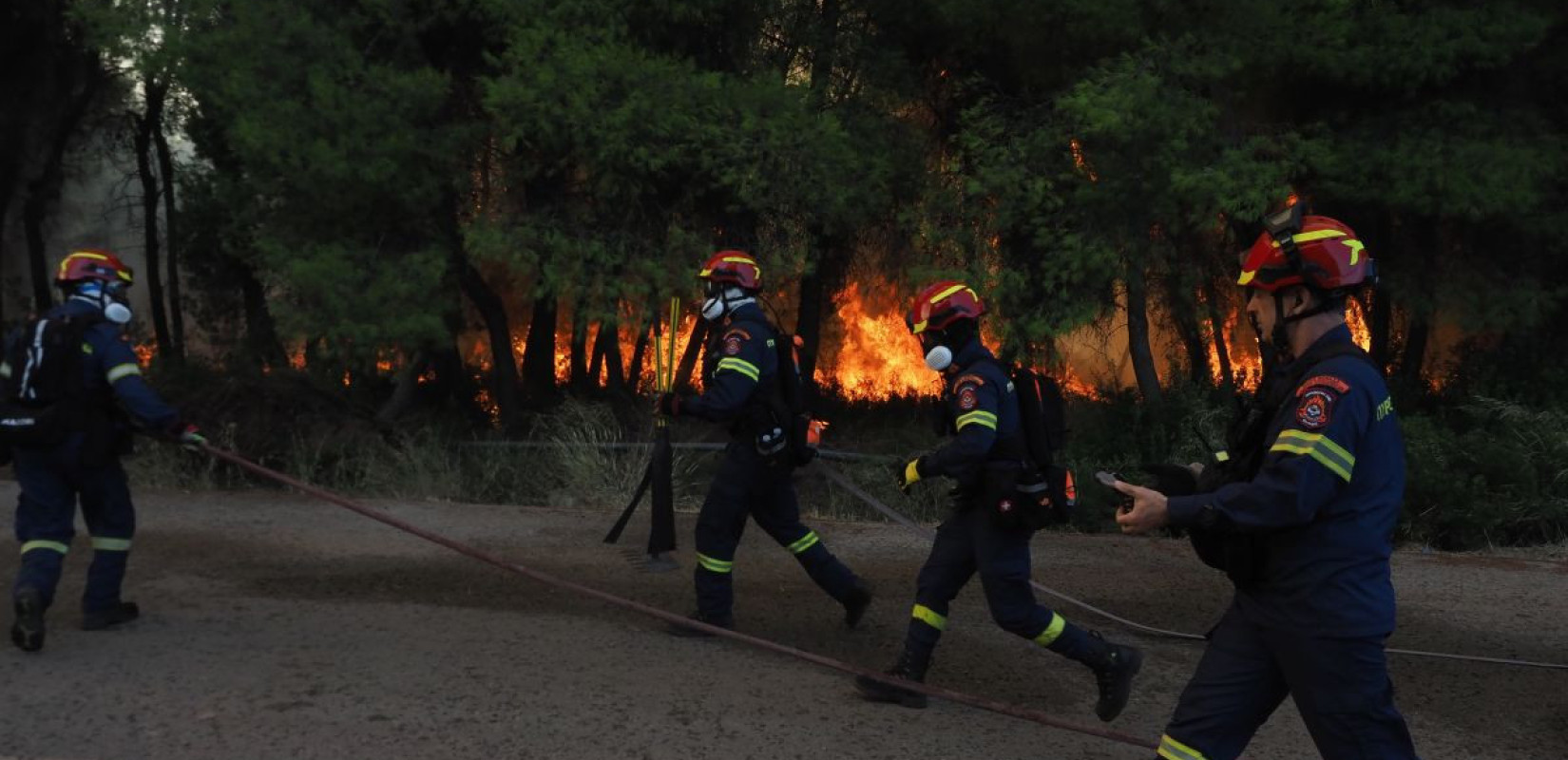 Φωτογραφία από τη σημερινή φωτιά στη Μακρυκάπα Ευβοίας - Πηγή: (ΘΟΔΩΡΗΣ ΝΙΚΟΛΑΟΥ/EUROKINISSI)